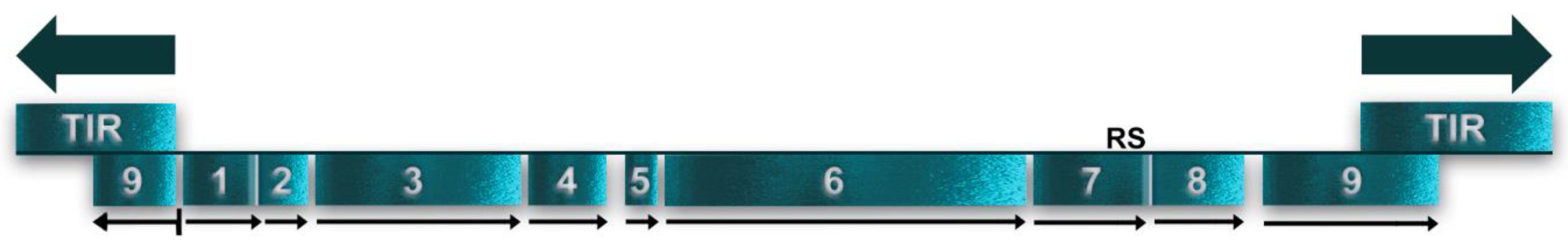 Genes 14 00628 g003 Genes 14 00628 g003