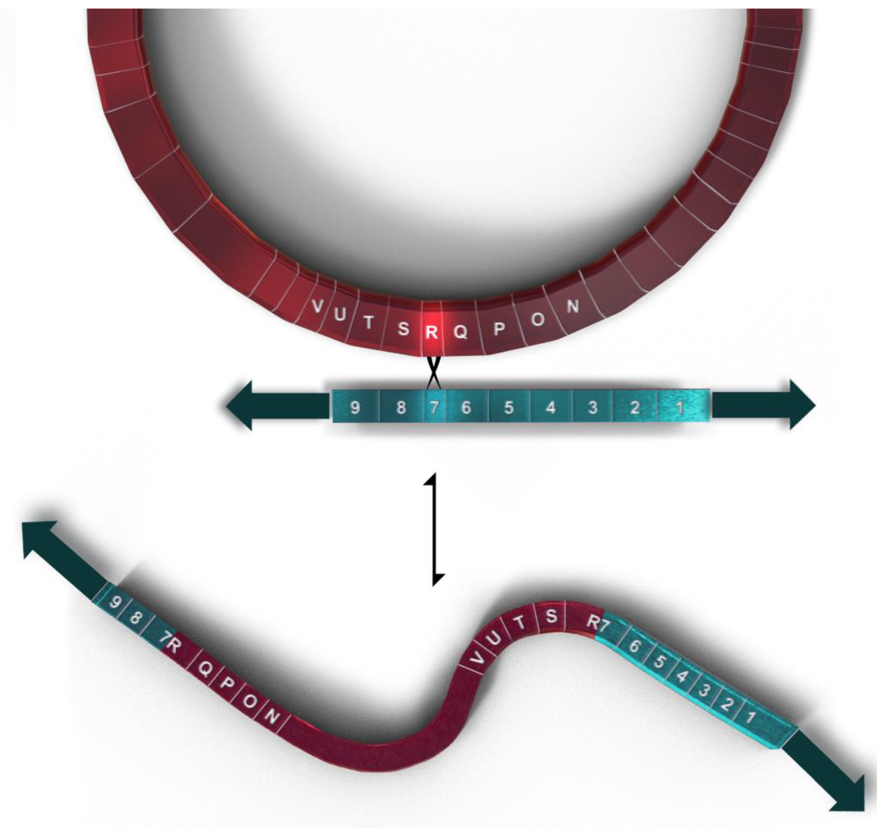Genes 14 00628 g004 Genes 14 00628 g004