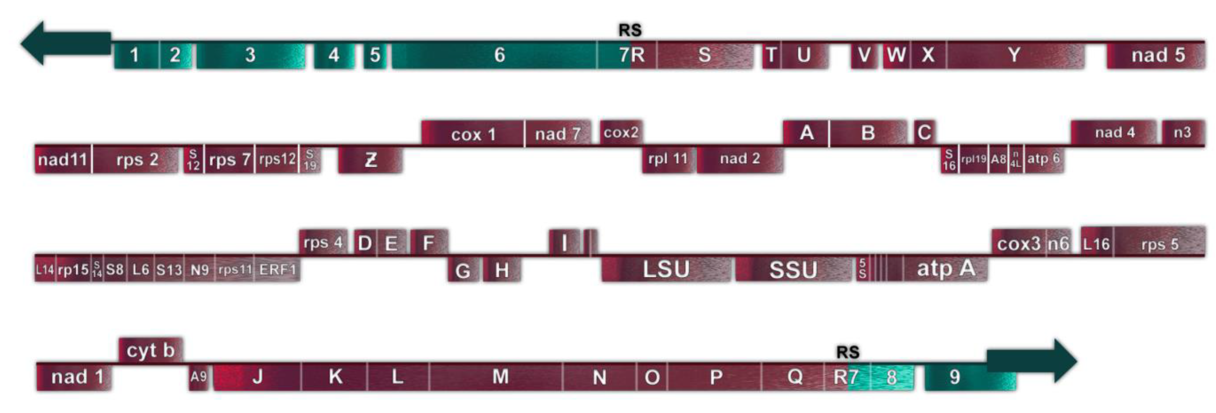 Genes 14 00628 g005 Genes 14 00628 g005