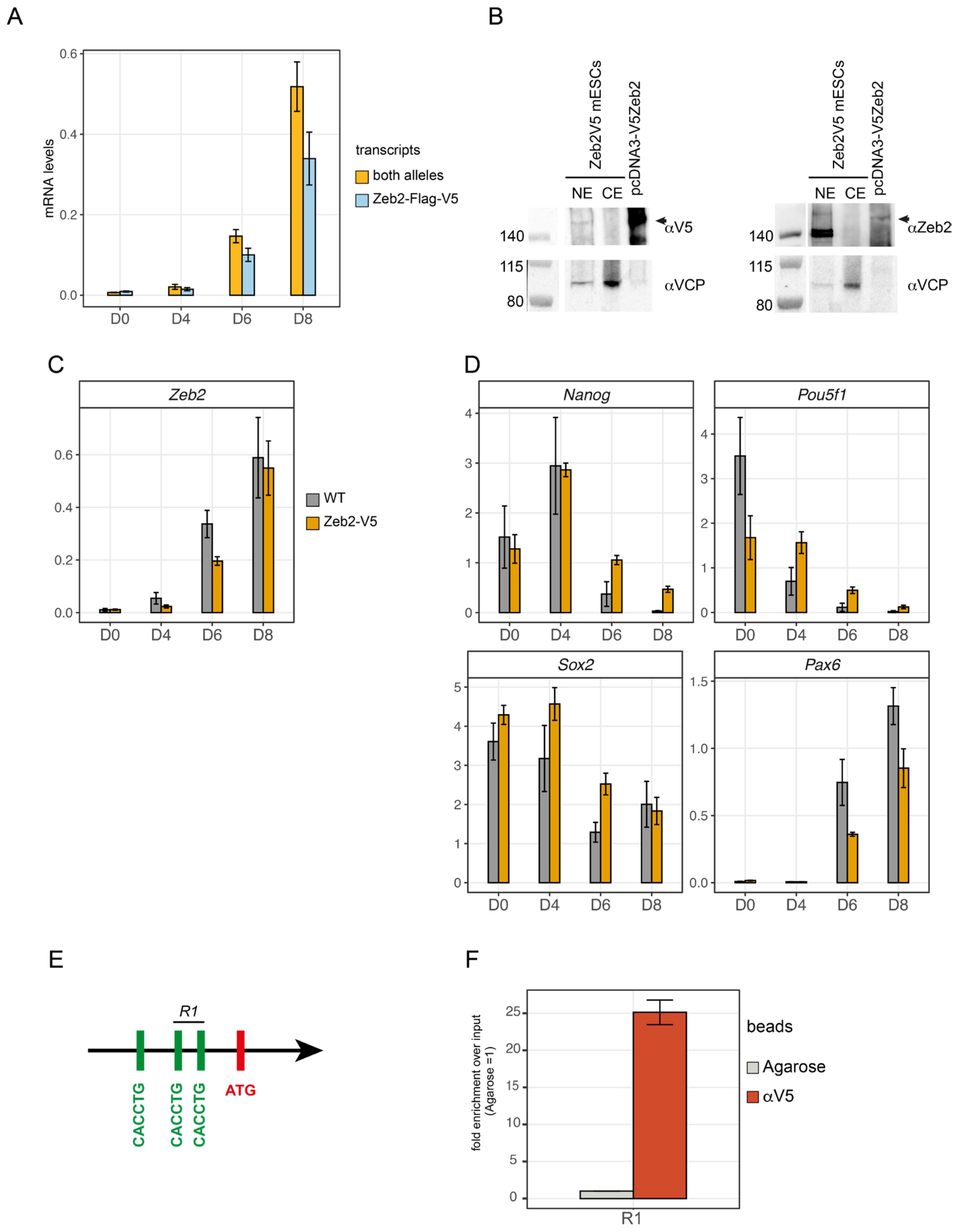 Genes 14 00629 g001 Genes 14 00629 g001