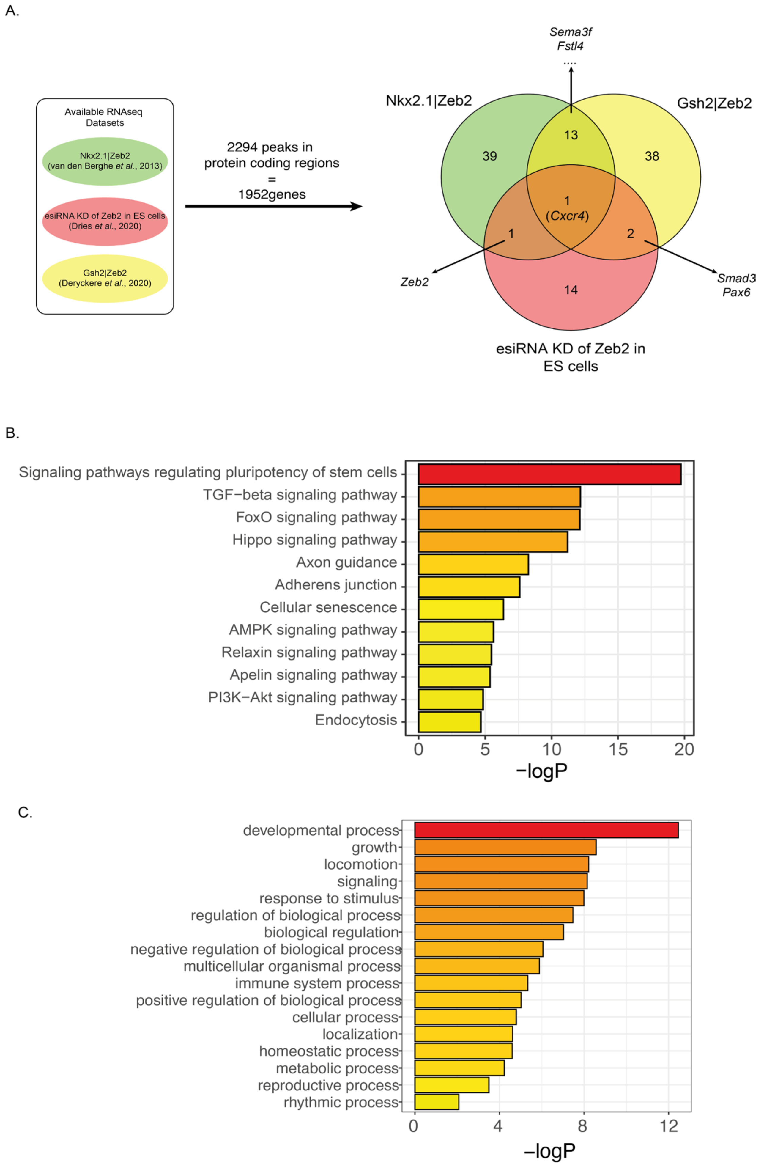 Genes 14 00629 g003 Genes 14 00629 g003