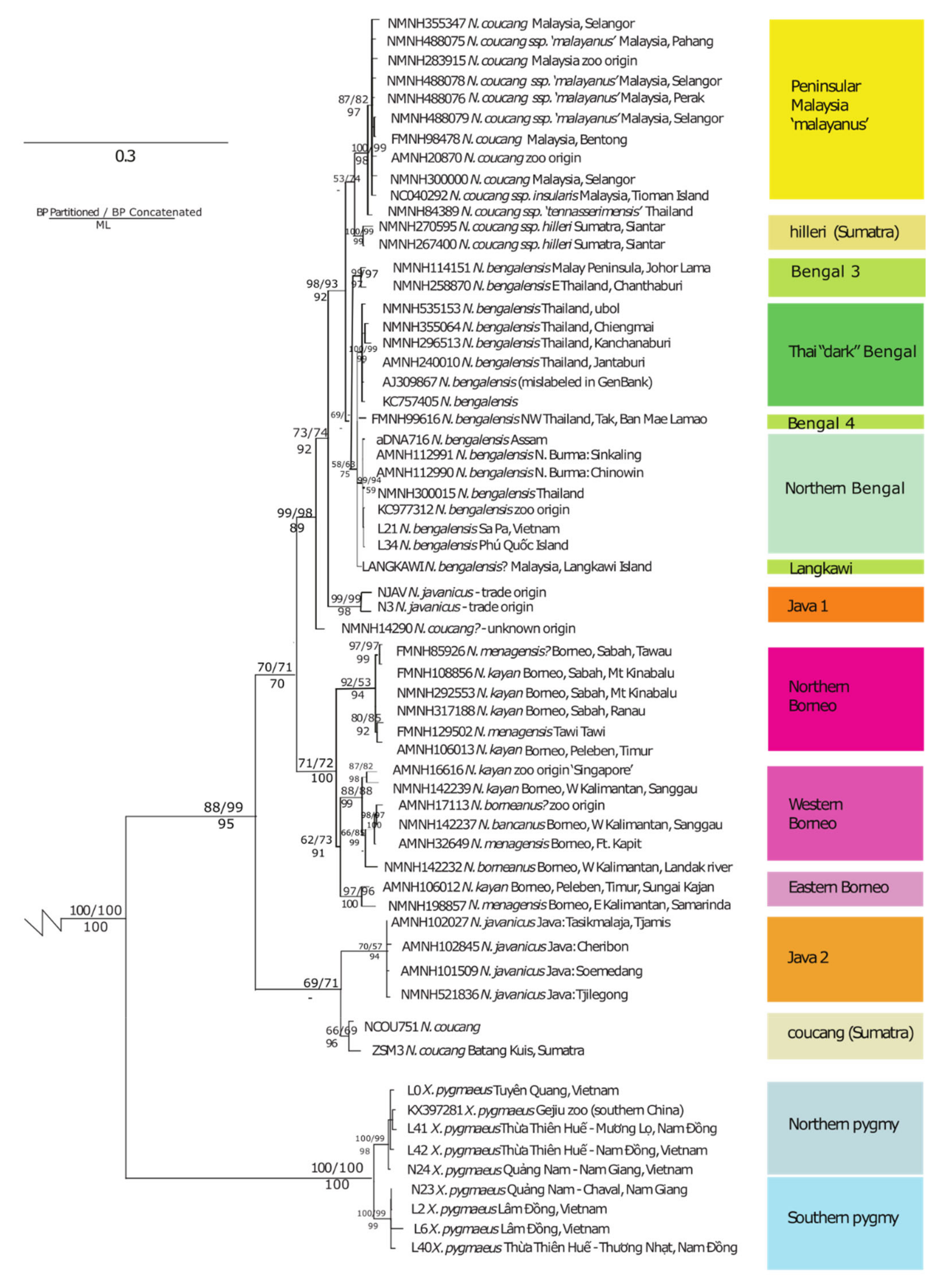 Genes 14 00643 g002 Genes 14 00643 g002