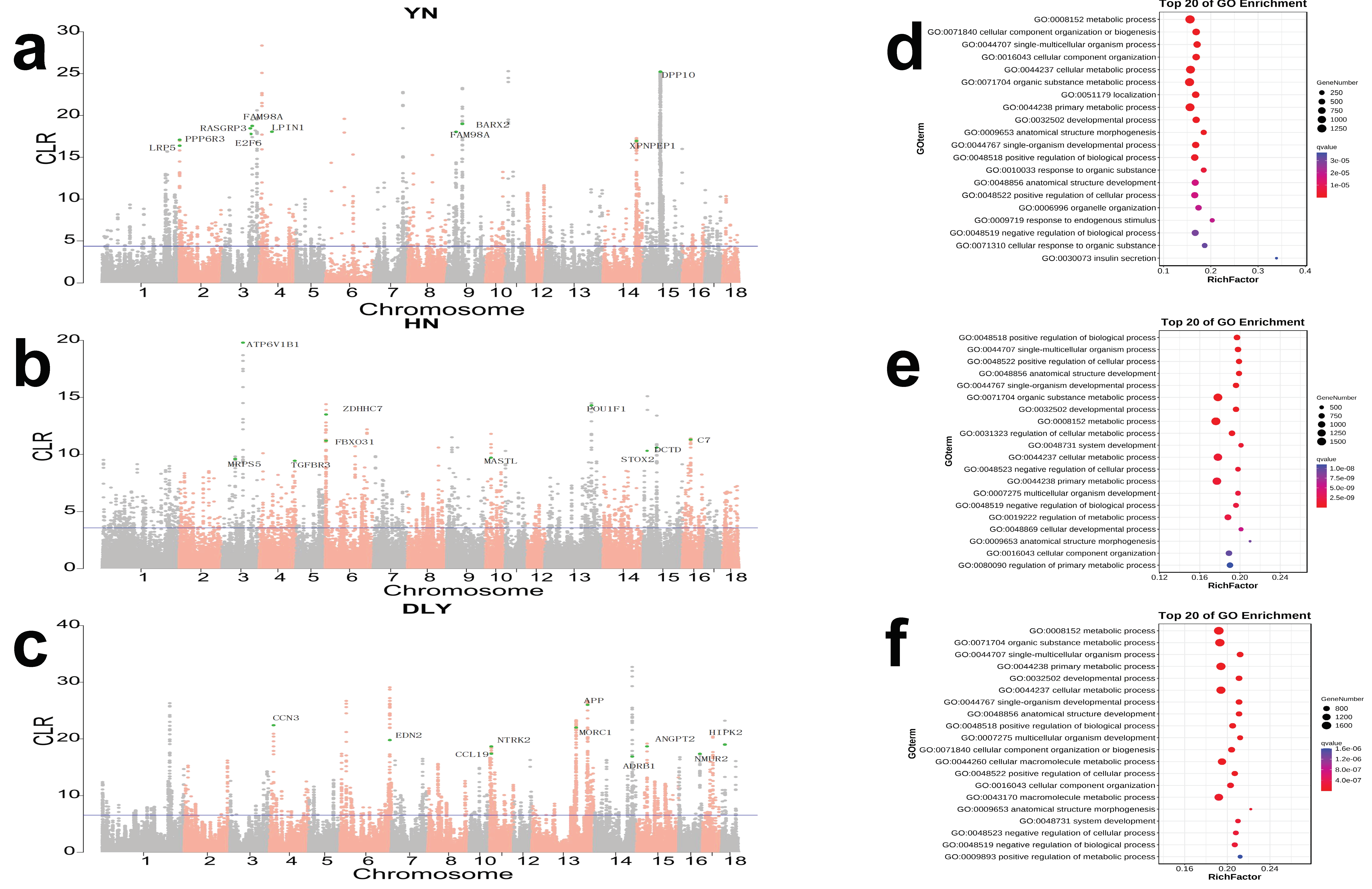 Genes 14 00655 g002 Genes 14 00655 g002