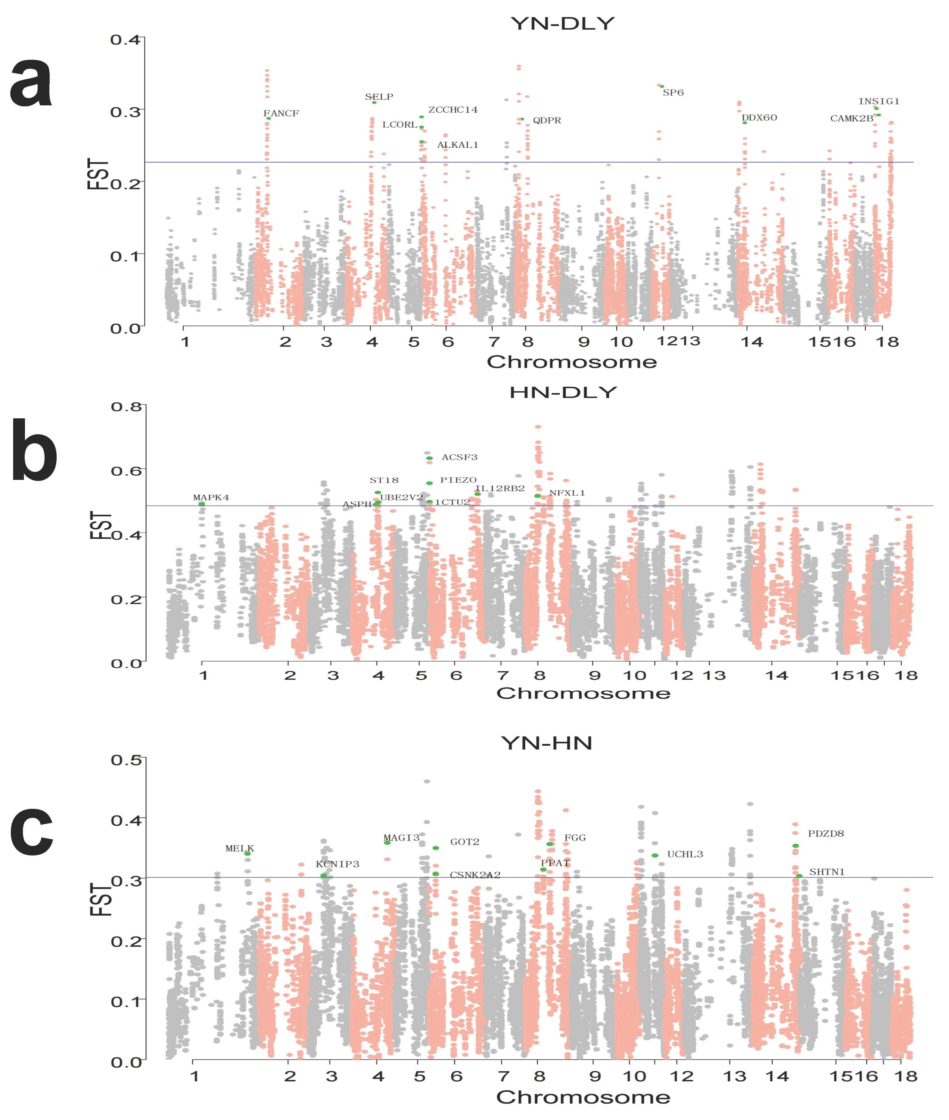 Genes 14 00655 g003 Genes 14 00655 g003
