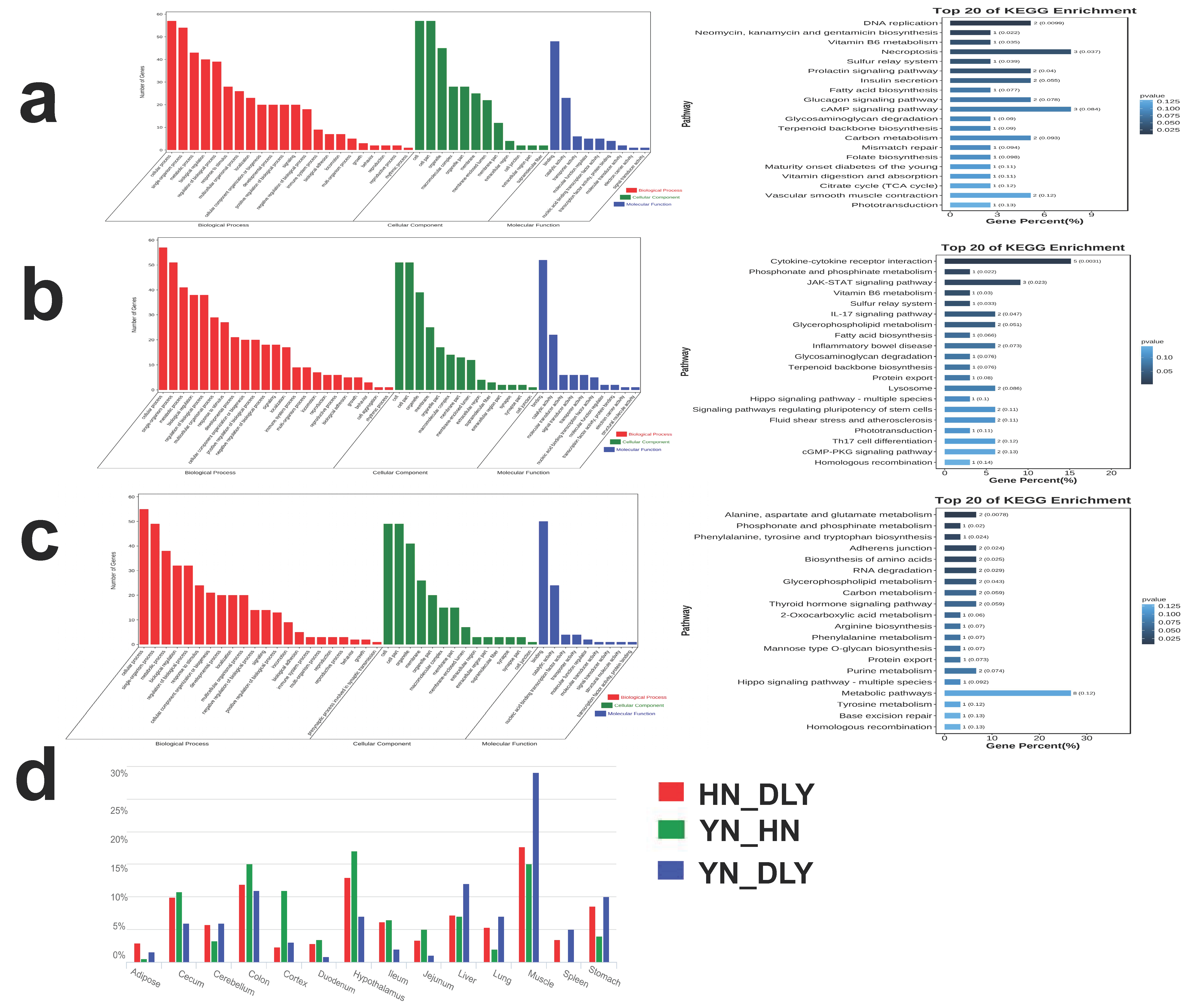 Genes 14 00655 g004 Genes 14 00655 g004