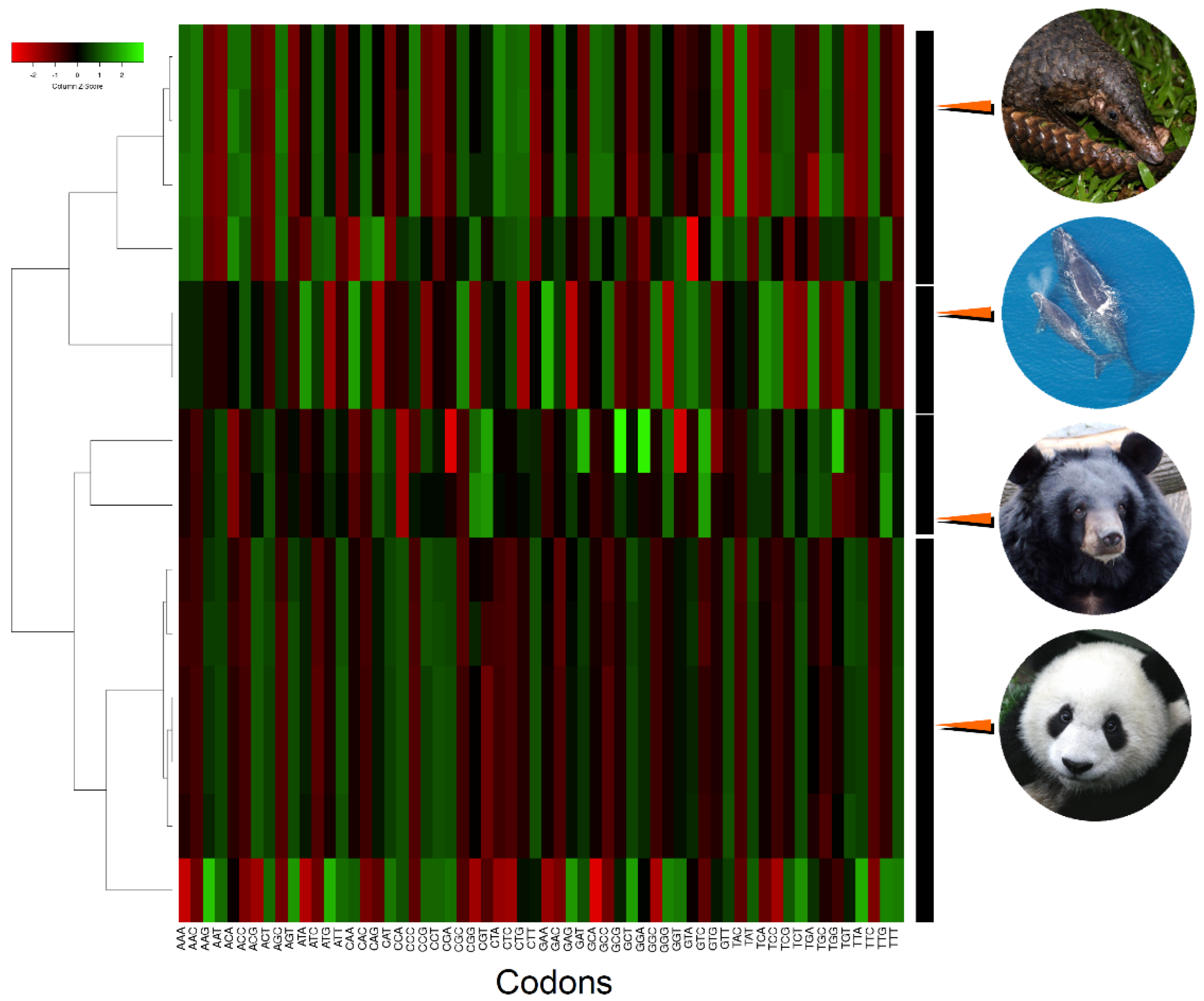 Genes 14 00657 g003 Genes 14 00657 g003