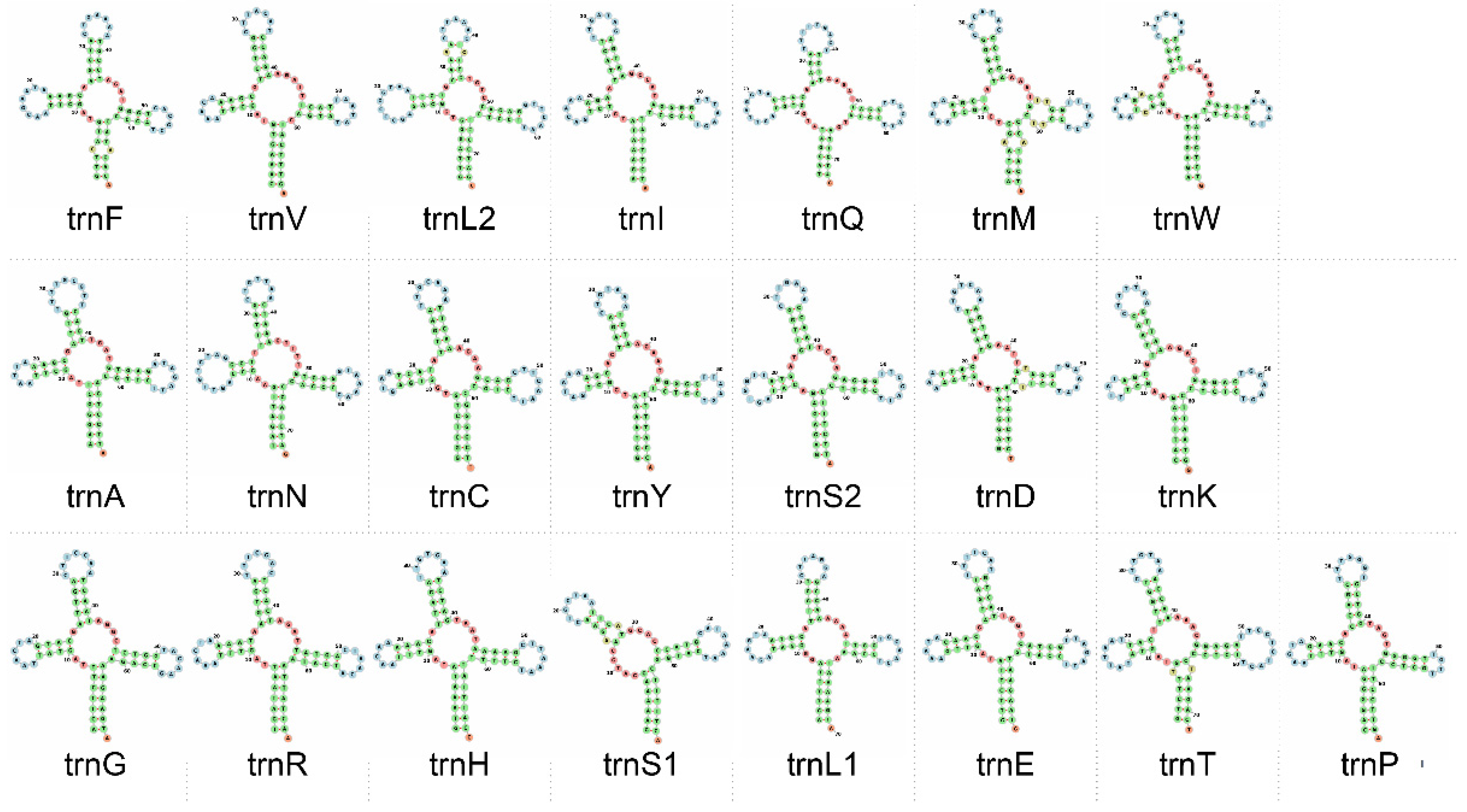 Genes 14 00657 g004 Genes 14 00657 g004