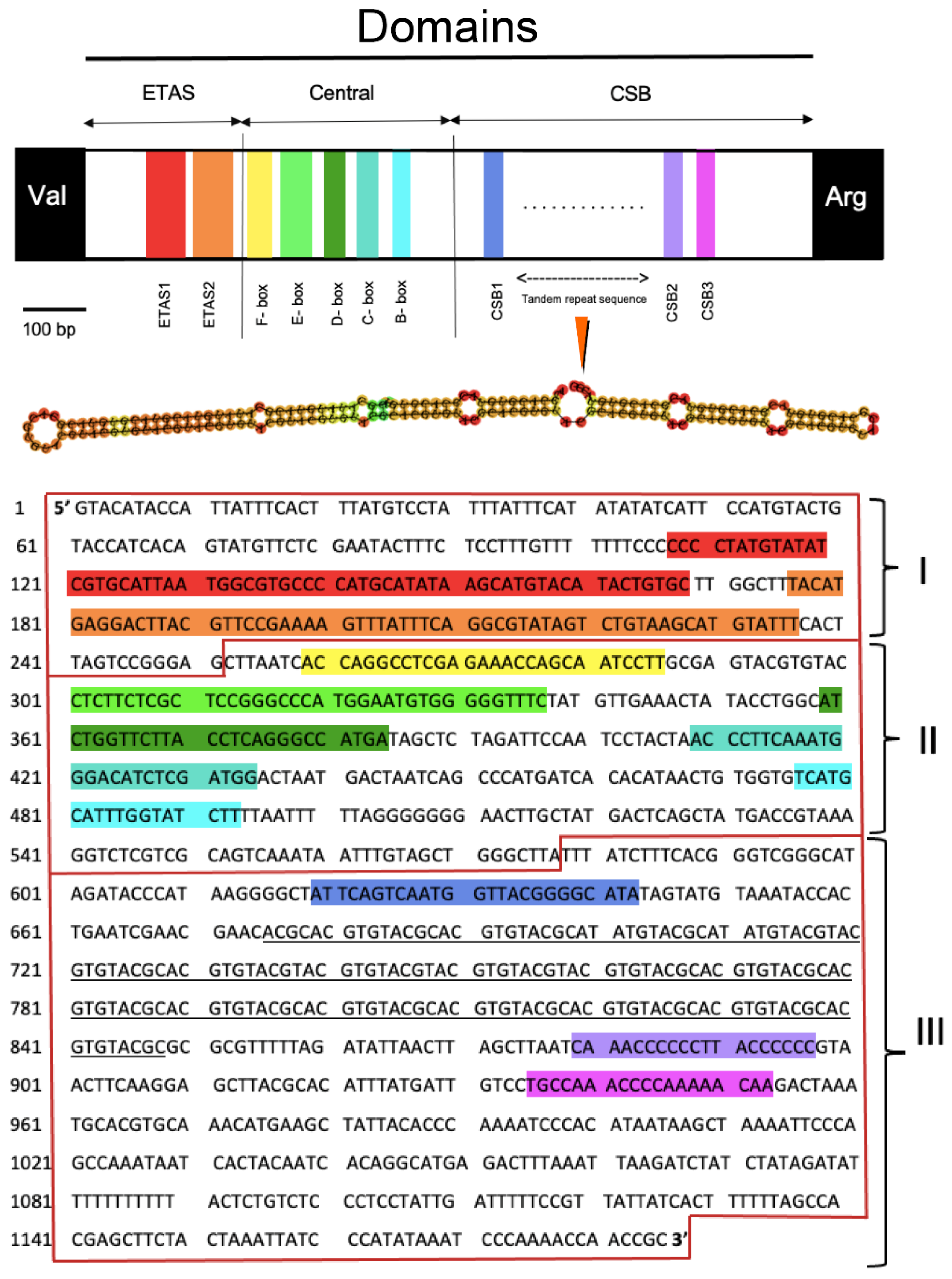 Genes 14 00657 g006 Genes 14 00657 g006