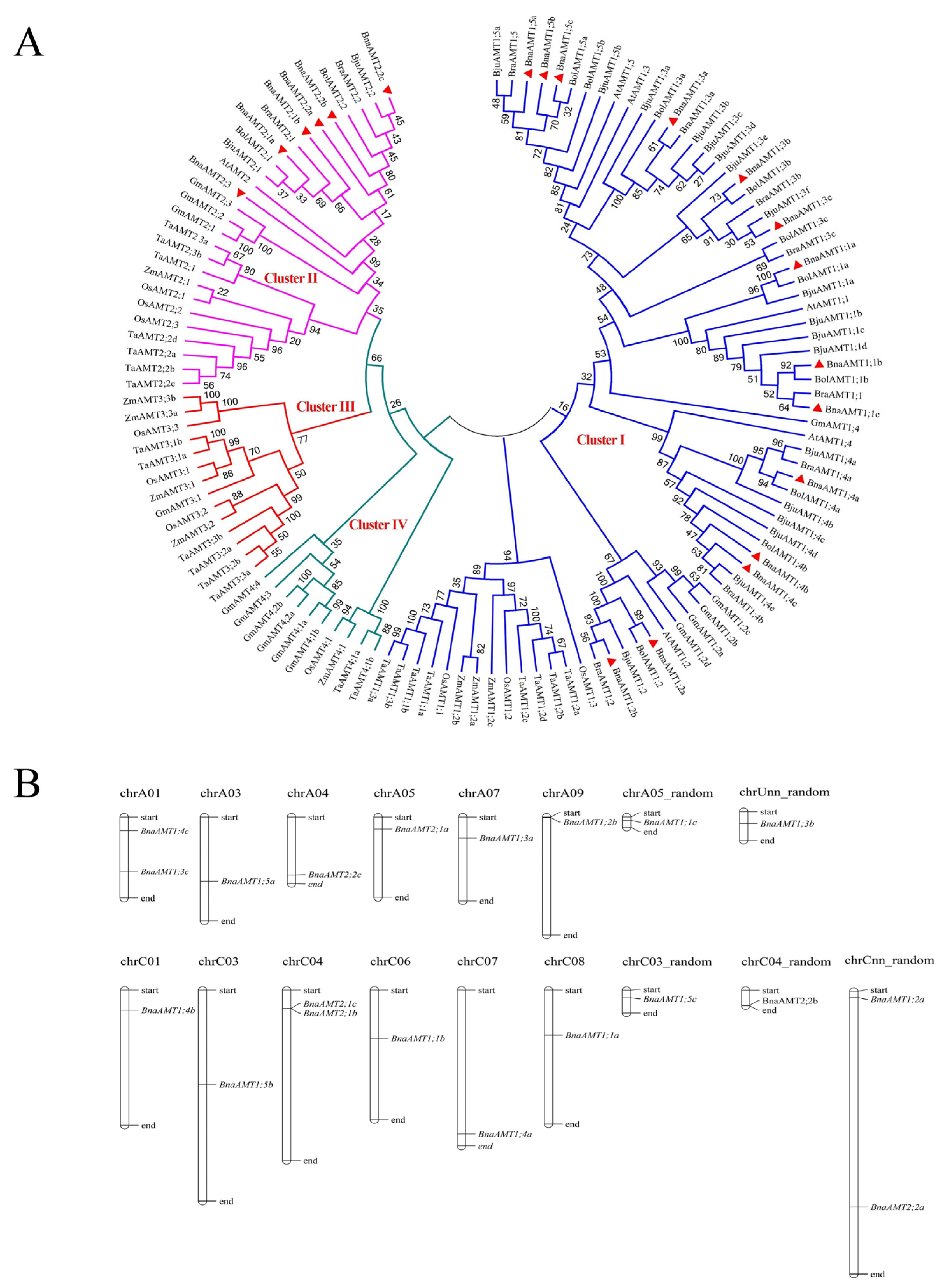 Genes 14 00658 g002 Genes 14 00658 g002