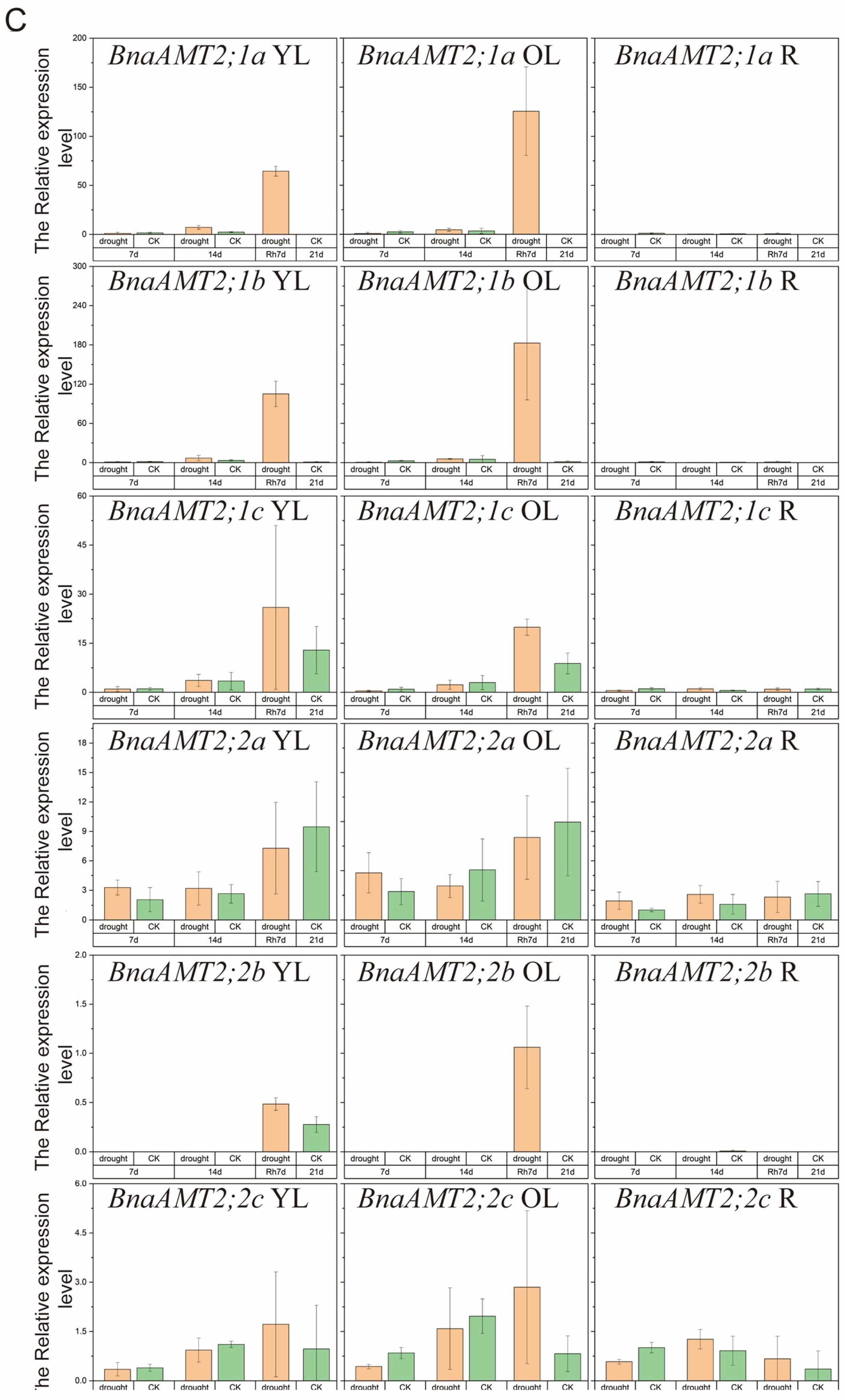 Genes 14 00658 g006c Genes 14 00658 g006c
