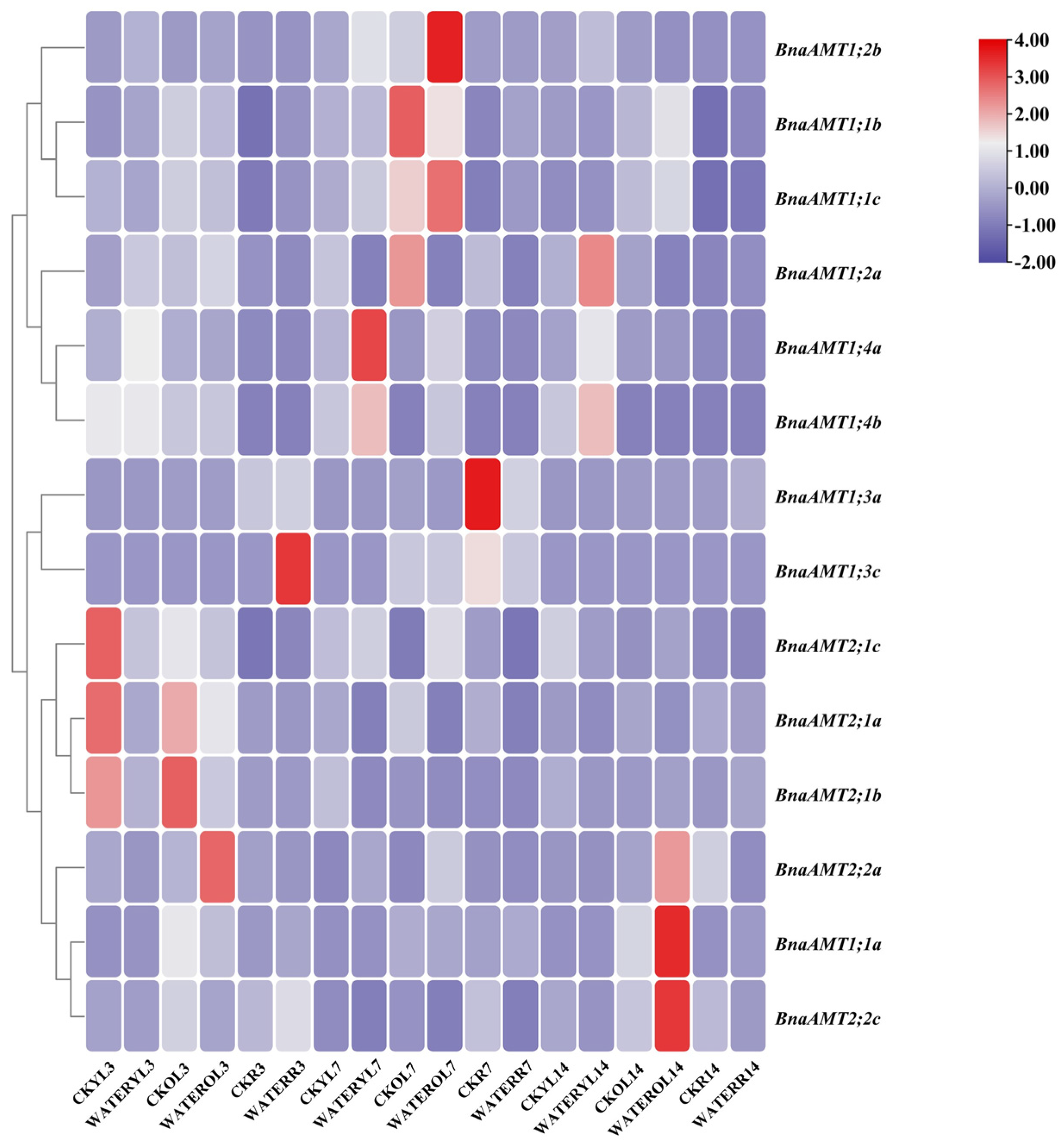 Genes 14 00658 g007 Genes 14 00658 g007