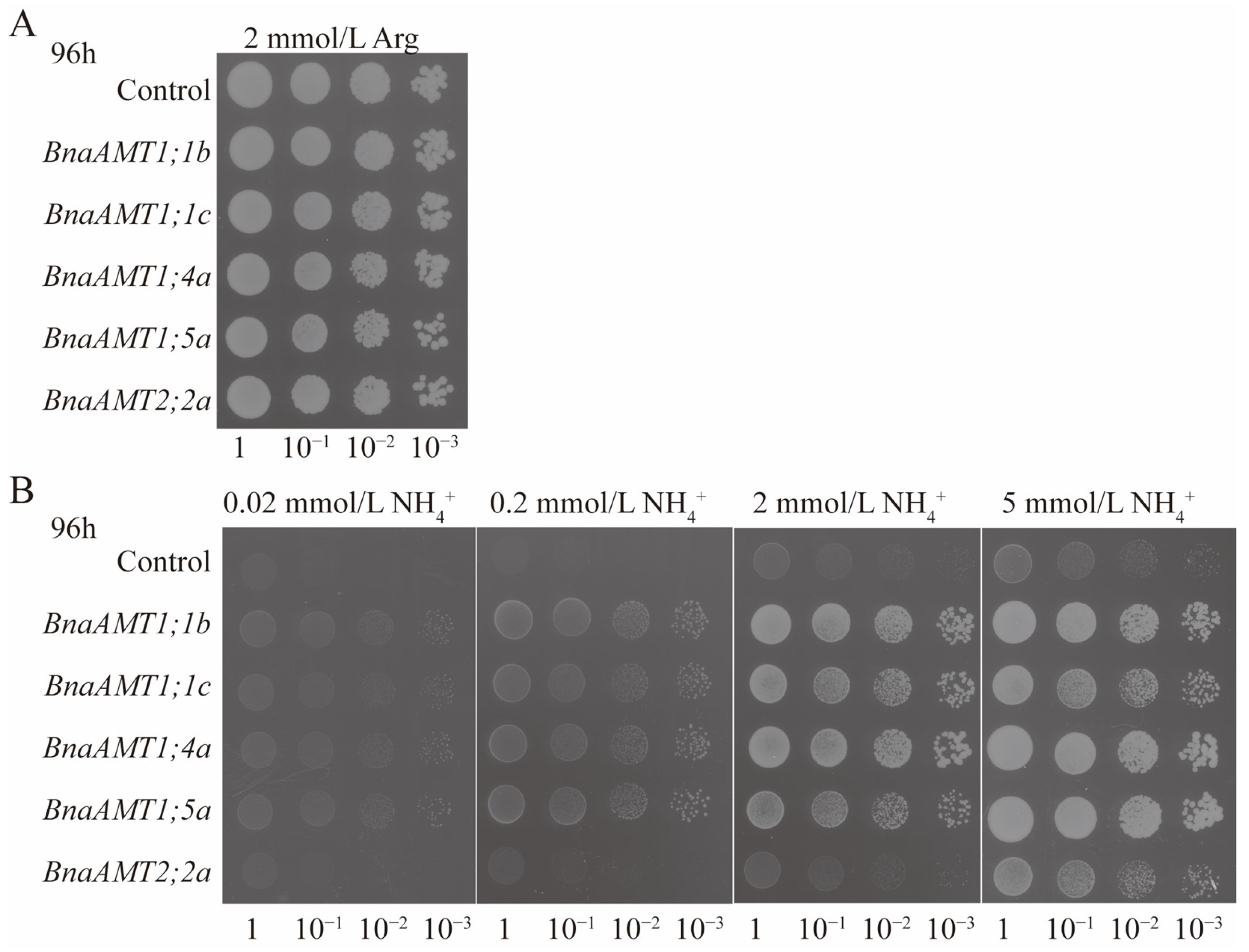 Genes 14 00658 g008 Genes 14 00658 g008