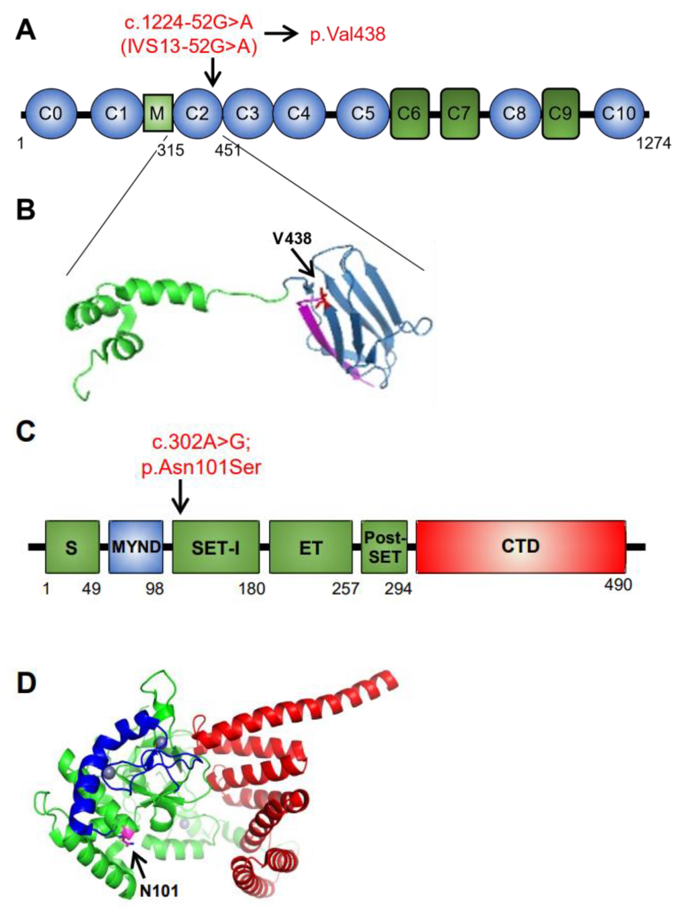 Genes 14 00659 g002 Genes 14 00659 g002