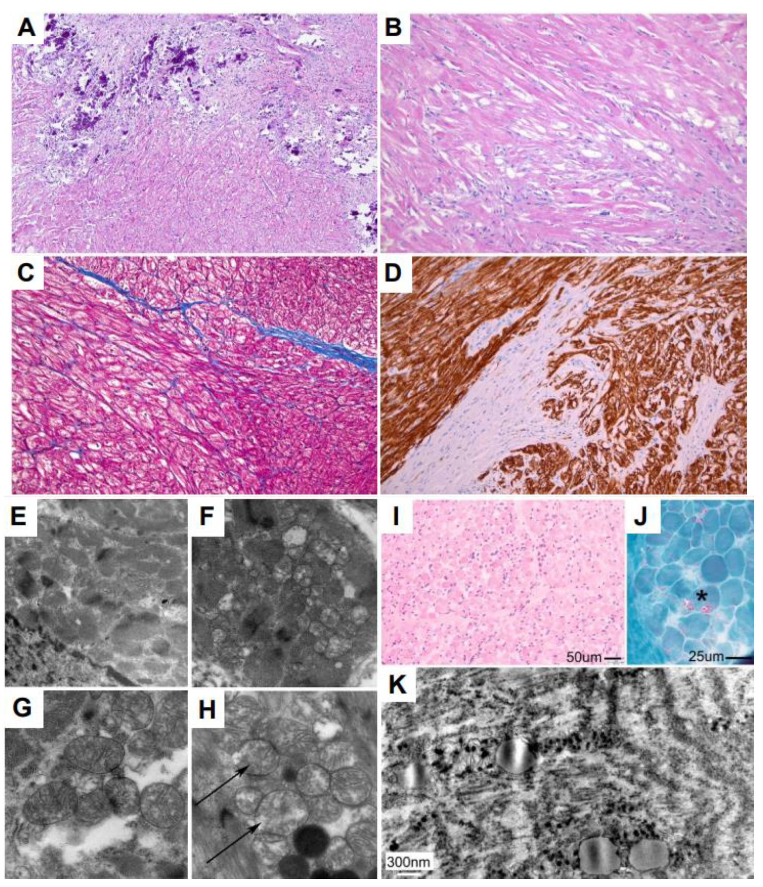 Genes 14 00659 g003 Genes 14 00659 g003