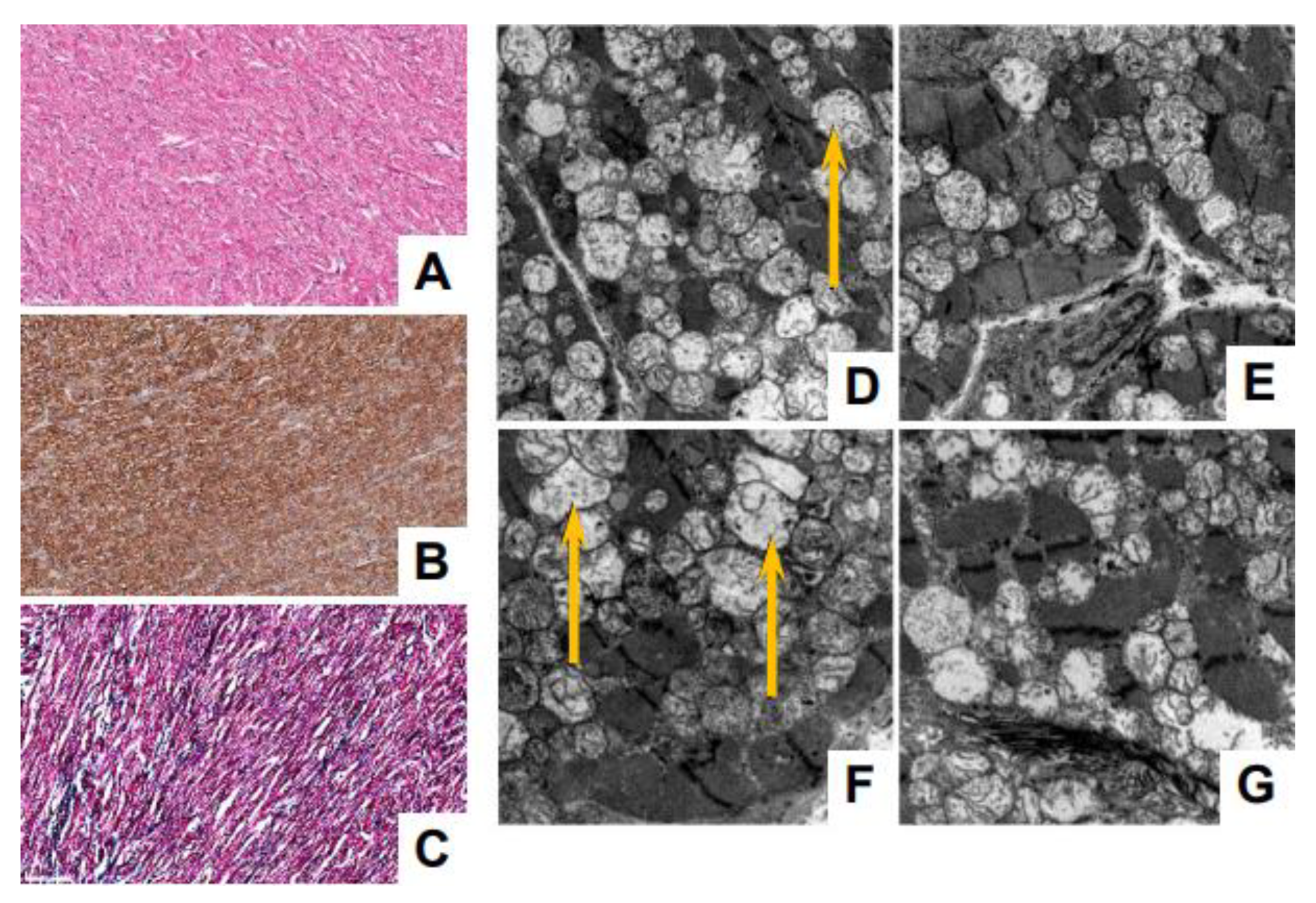 Genes 14 00659 g004 Genes 14 00659 g004