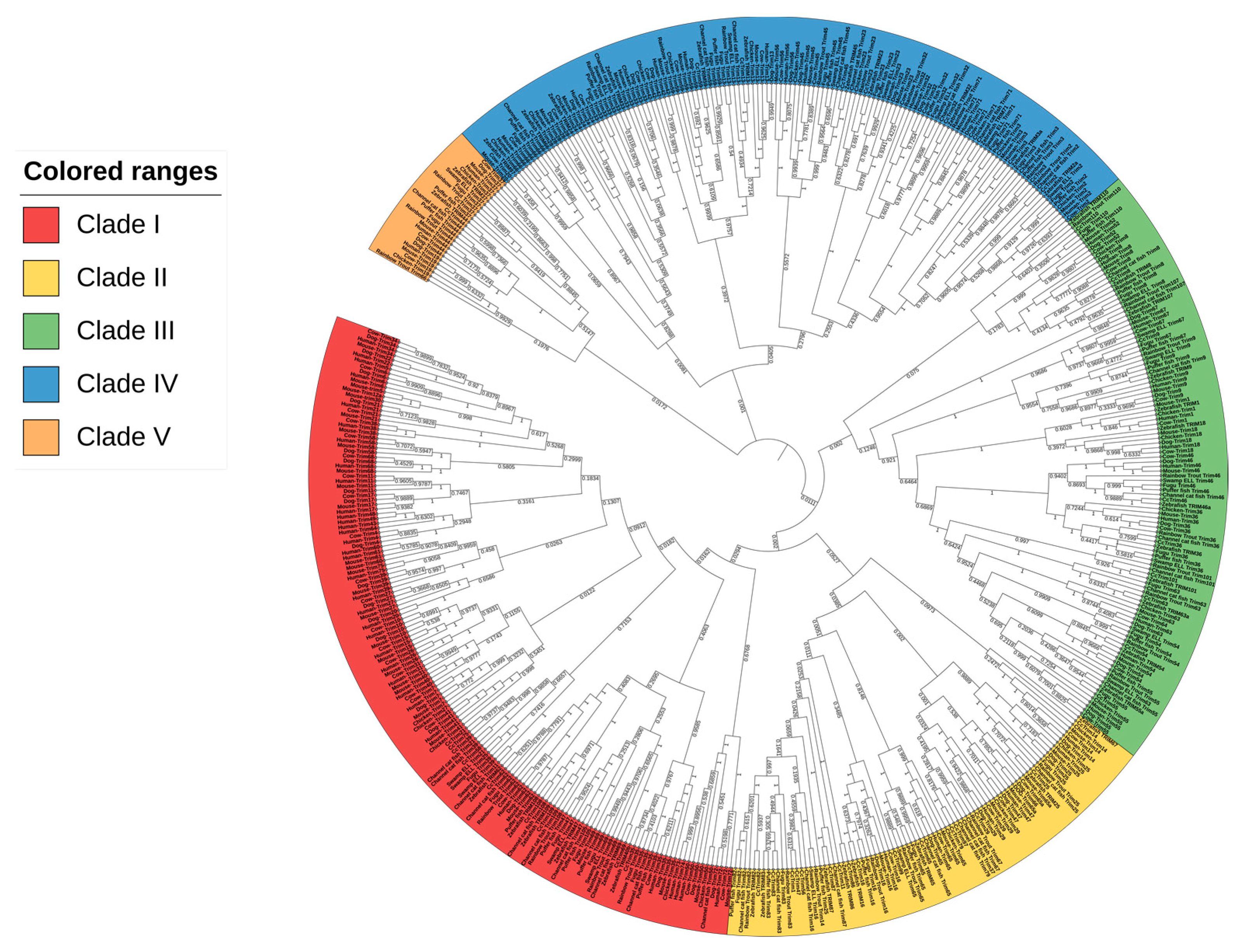 Genes 14 00667 g001 Genes 14 00667 g001