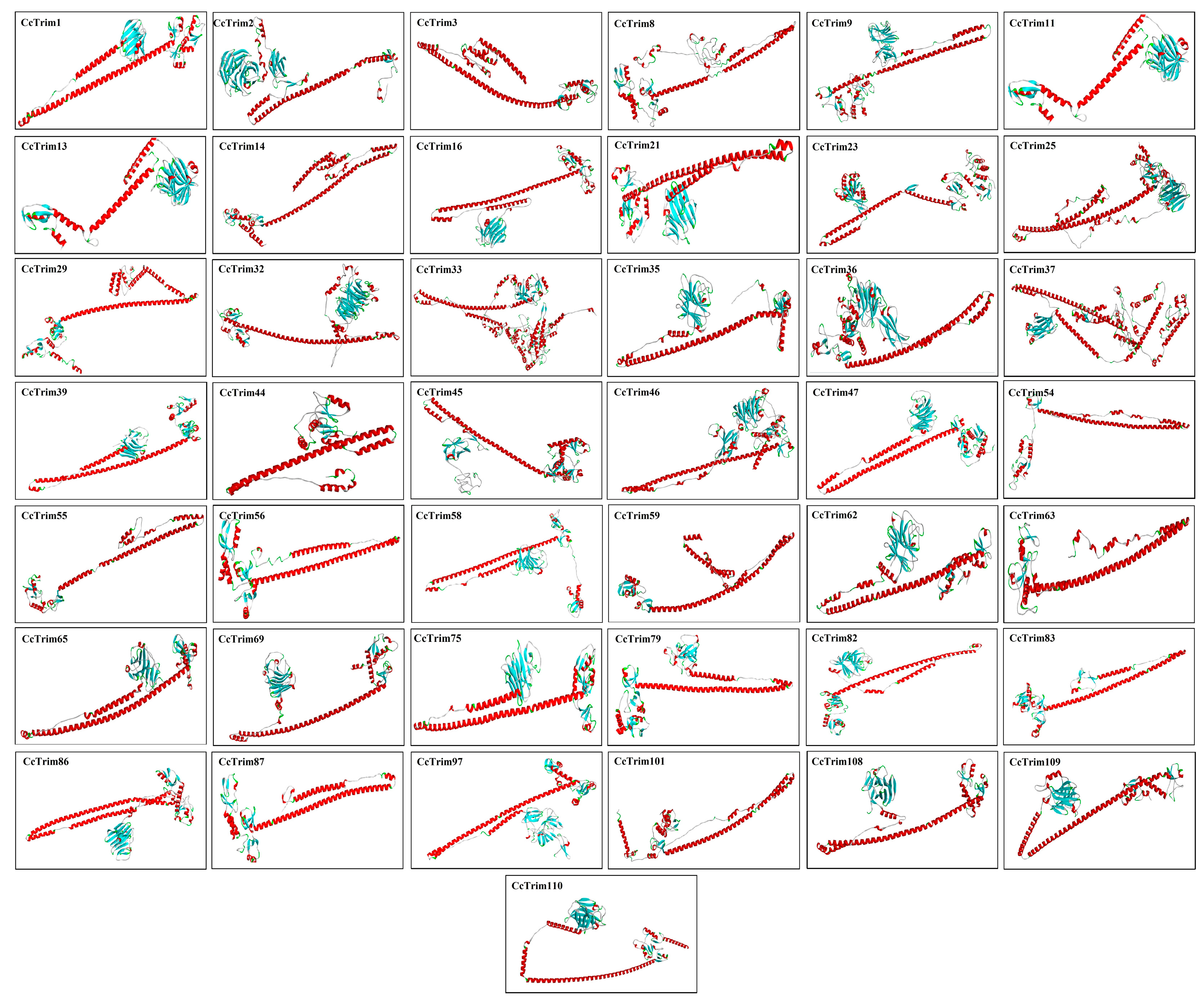 Genes 14 00667 g006 Genes 14 00667 g006