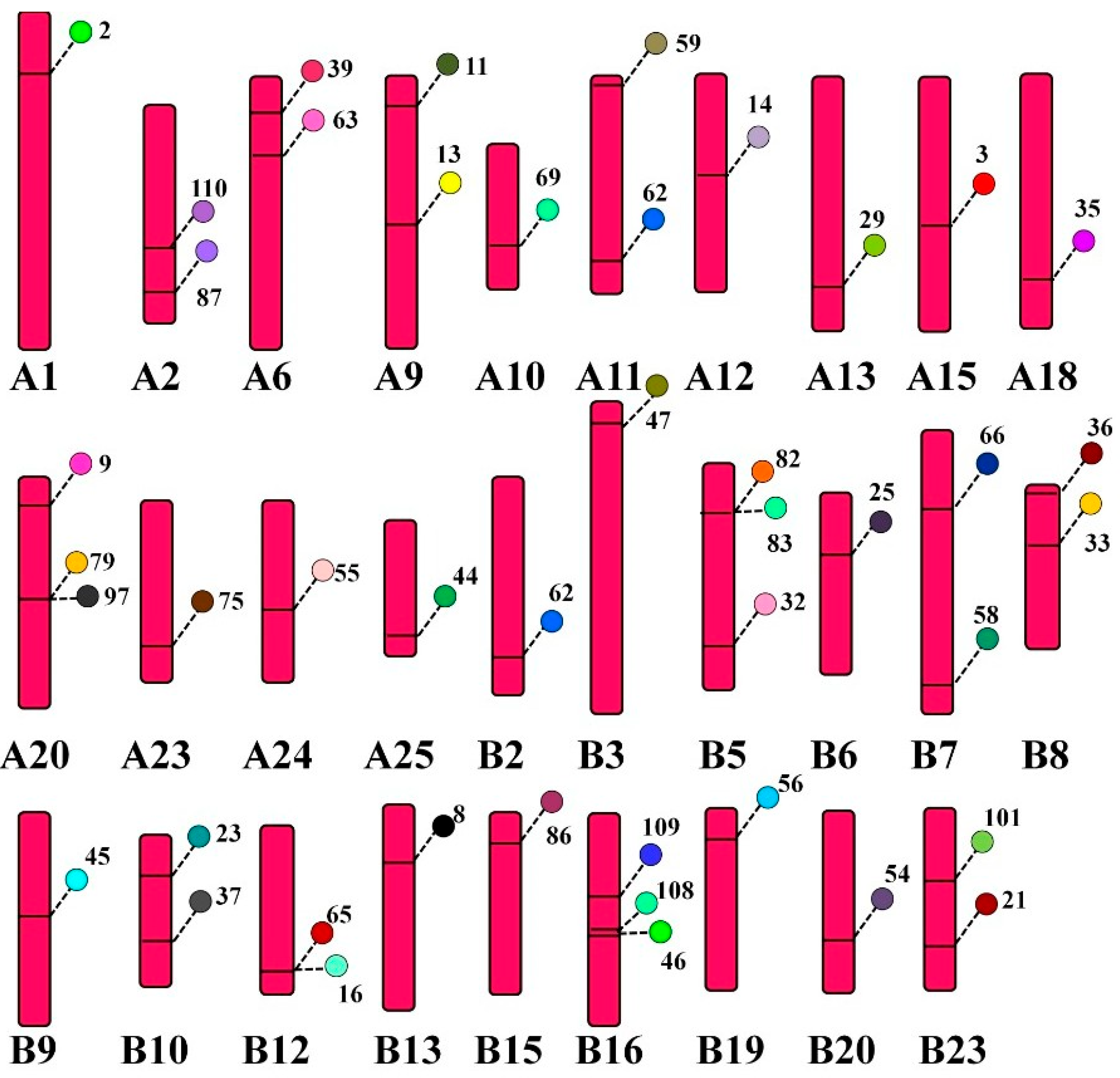 Genes 14 00667 g007 Genes 14 00667 g007