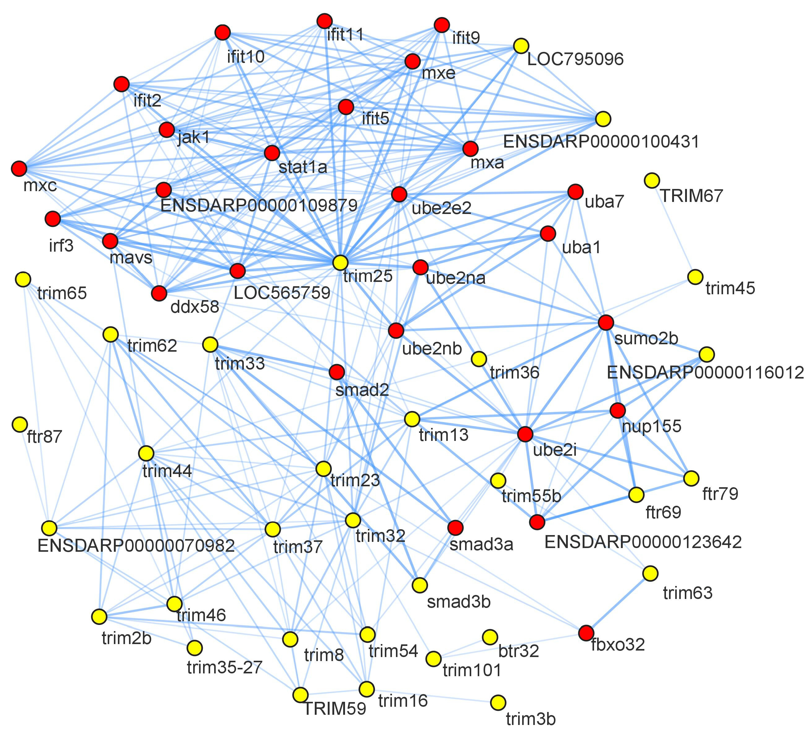 Genes 14 00667 g008 Genes 14 00667 g008