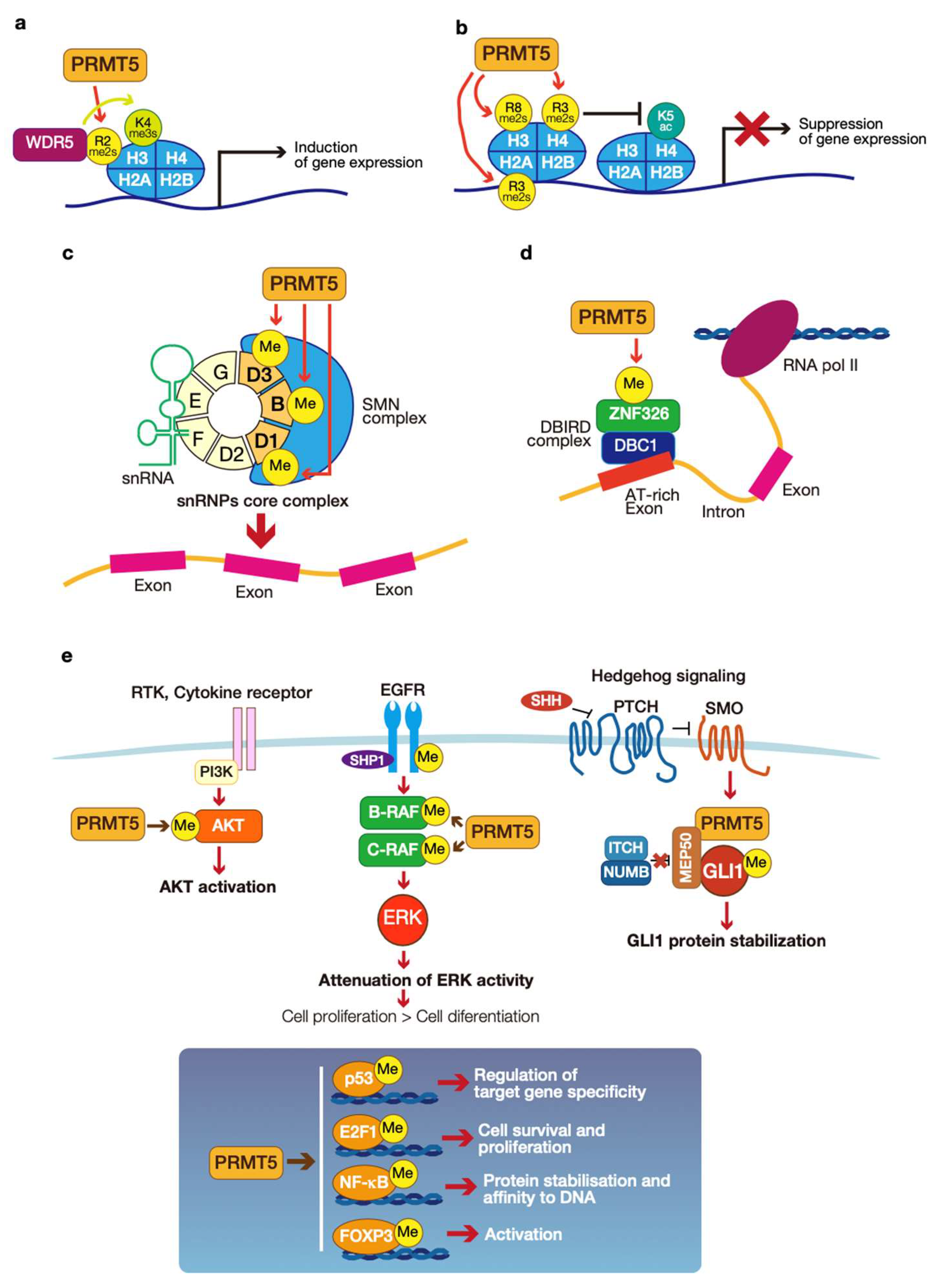 Genes 14 00678 g004 Genes 14 00678 g004
