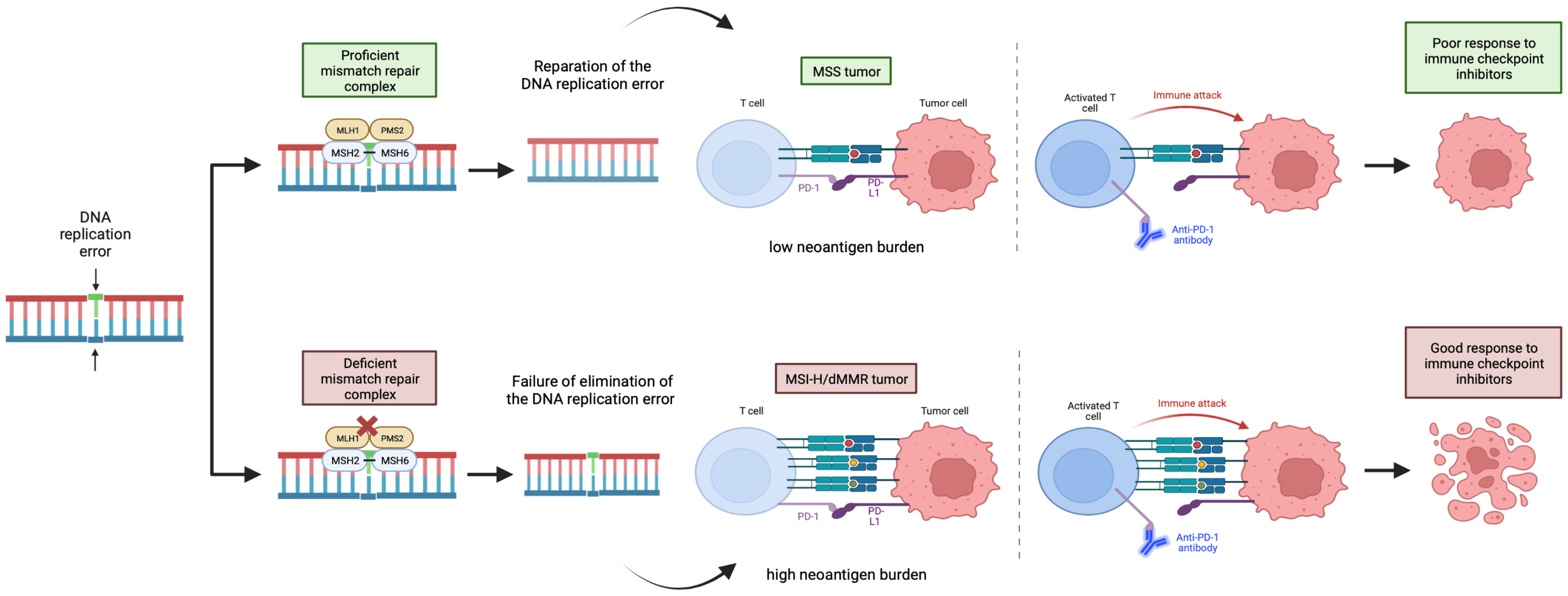 Genes 14 00684 g002 Genes 14 00684 g002