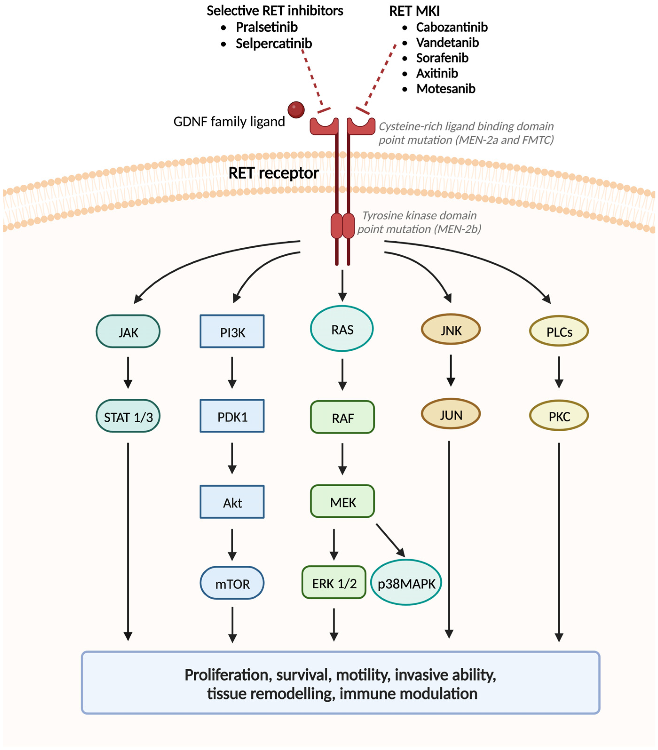 Genes 14 00684 g004 Genes 14 00684 g004