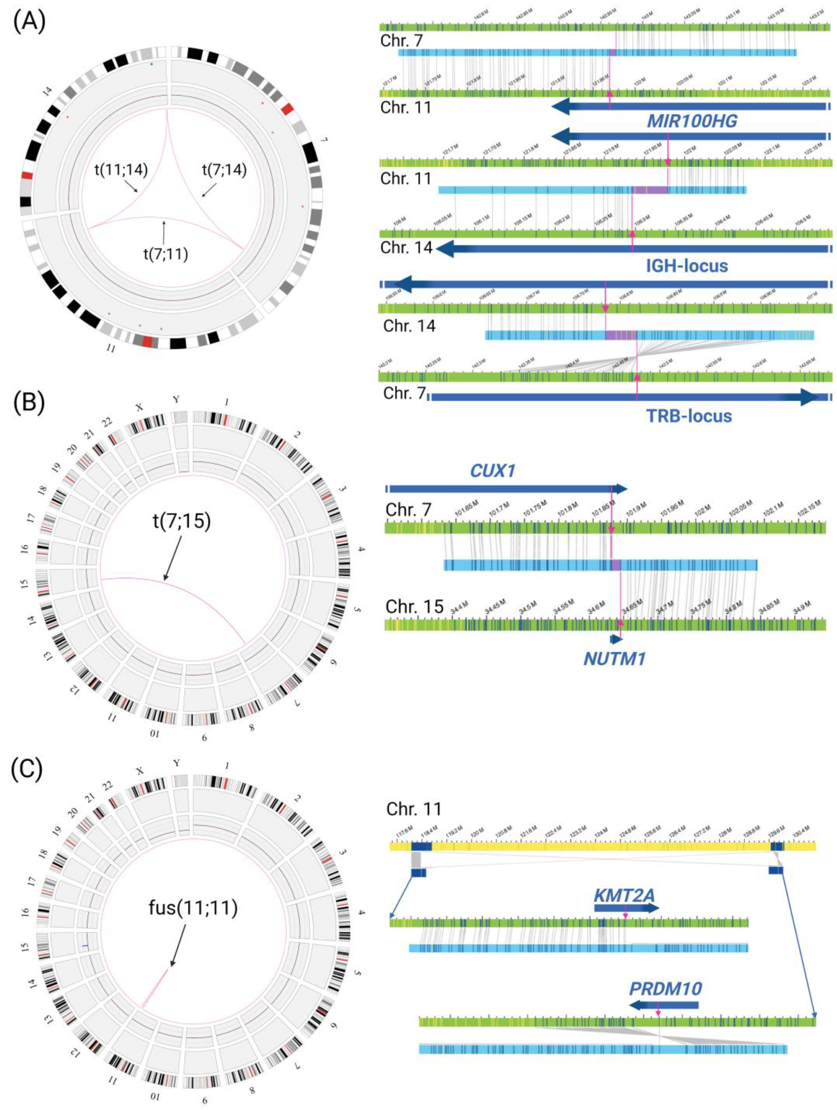 Genes 14 00686 g002 Genes 14 00686 g002