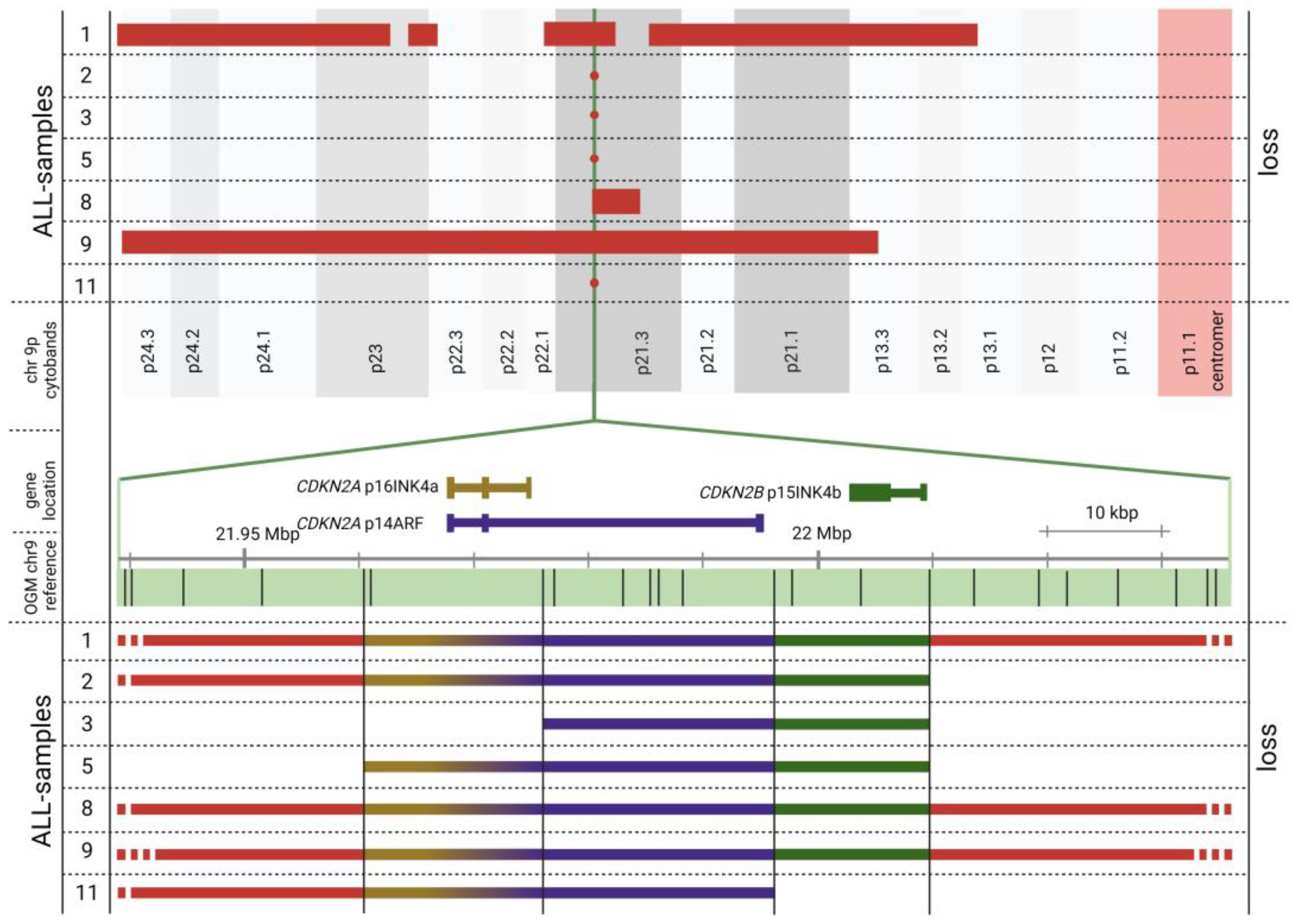 Genes 14 00686 g003 Genes 14 00686 g003