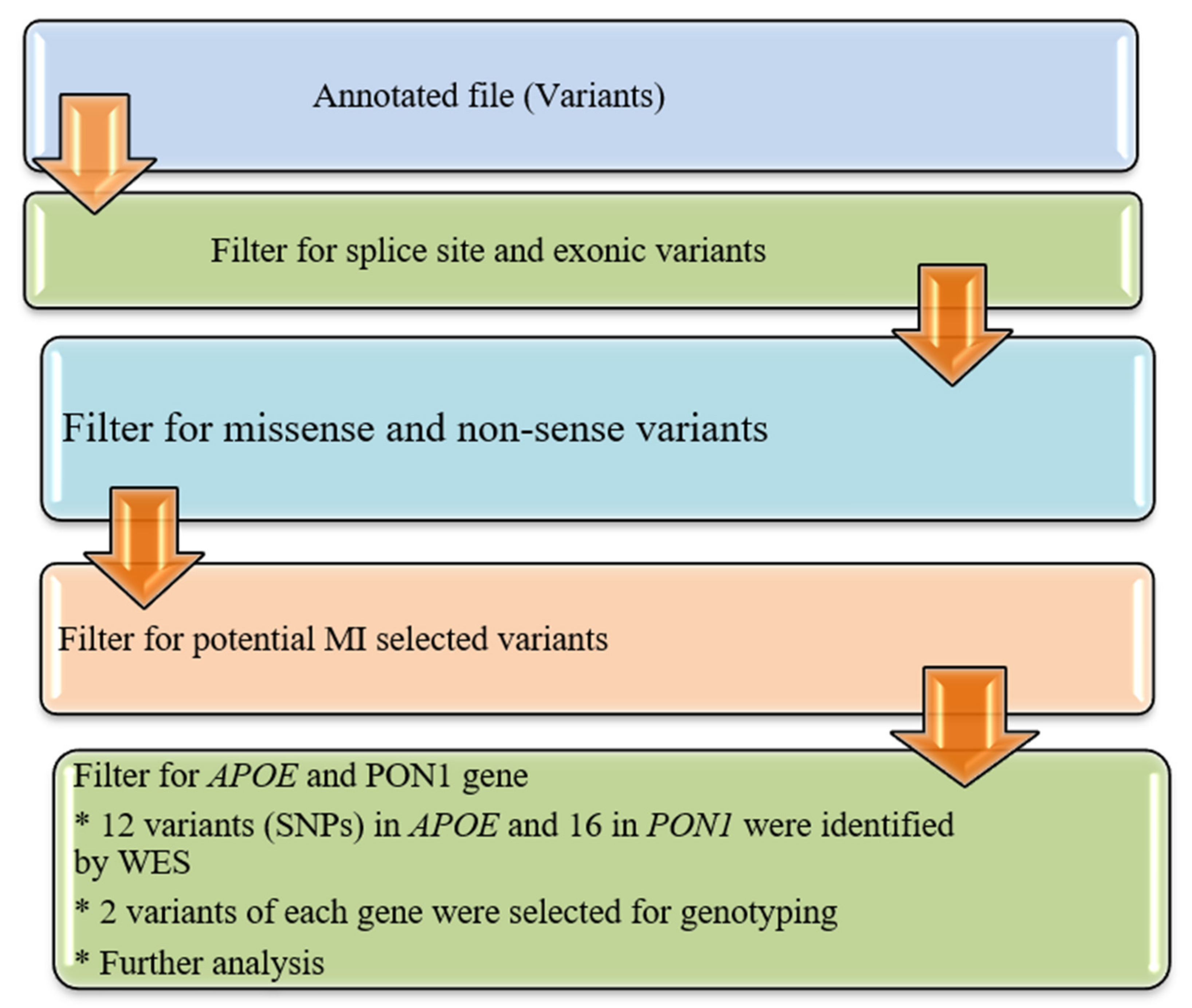 Genes 14 00687 g001