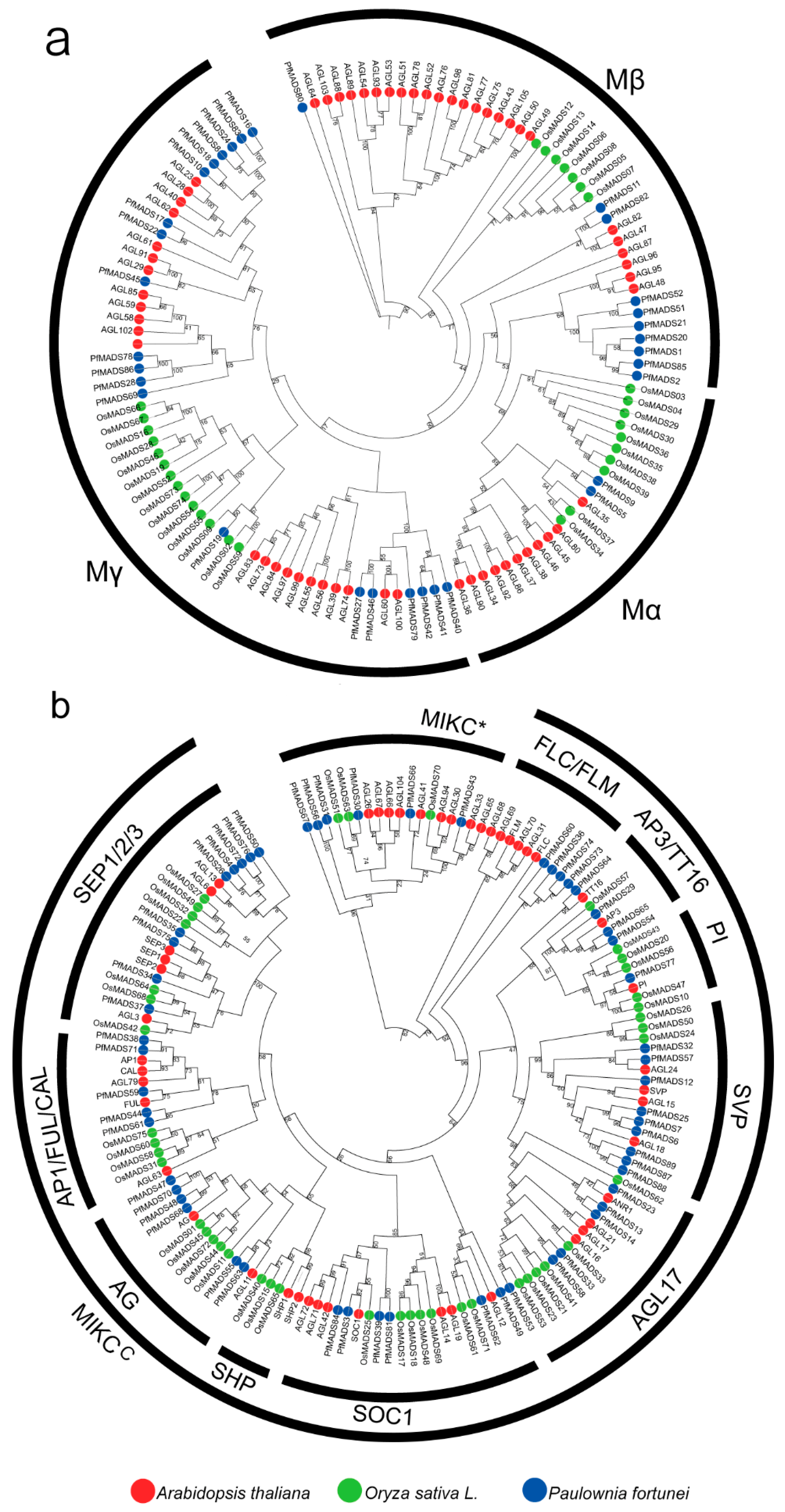 Genes 14 00696 g002