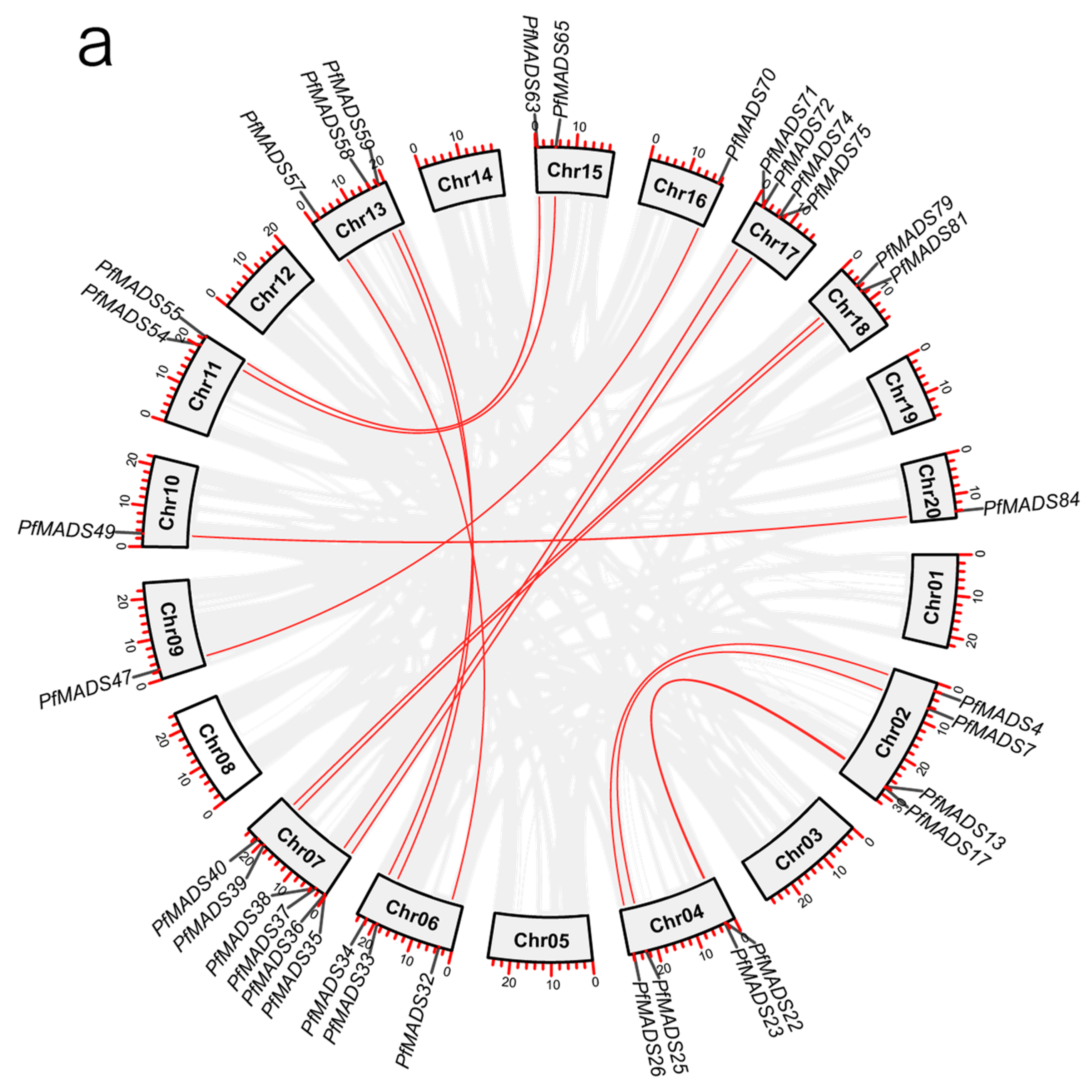 Genes 14 00696 g003a