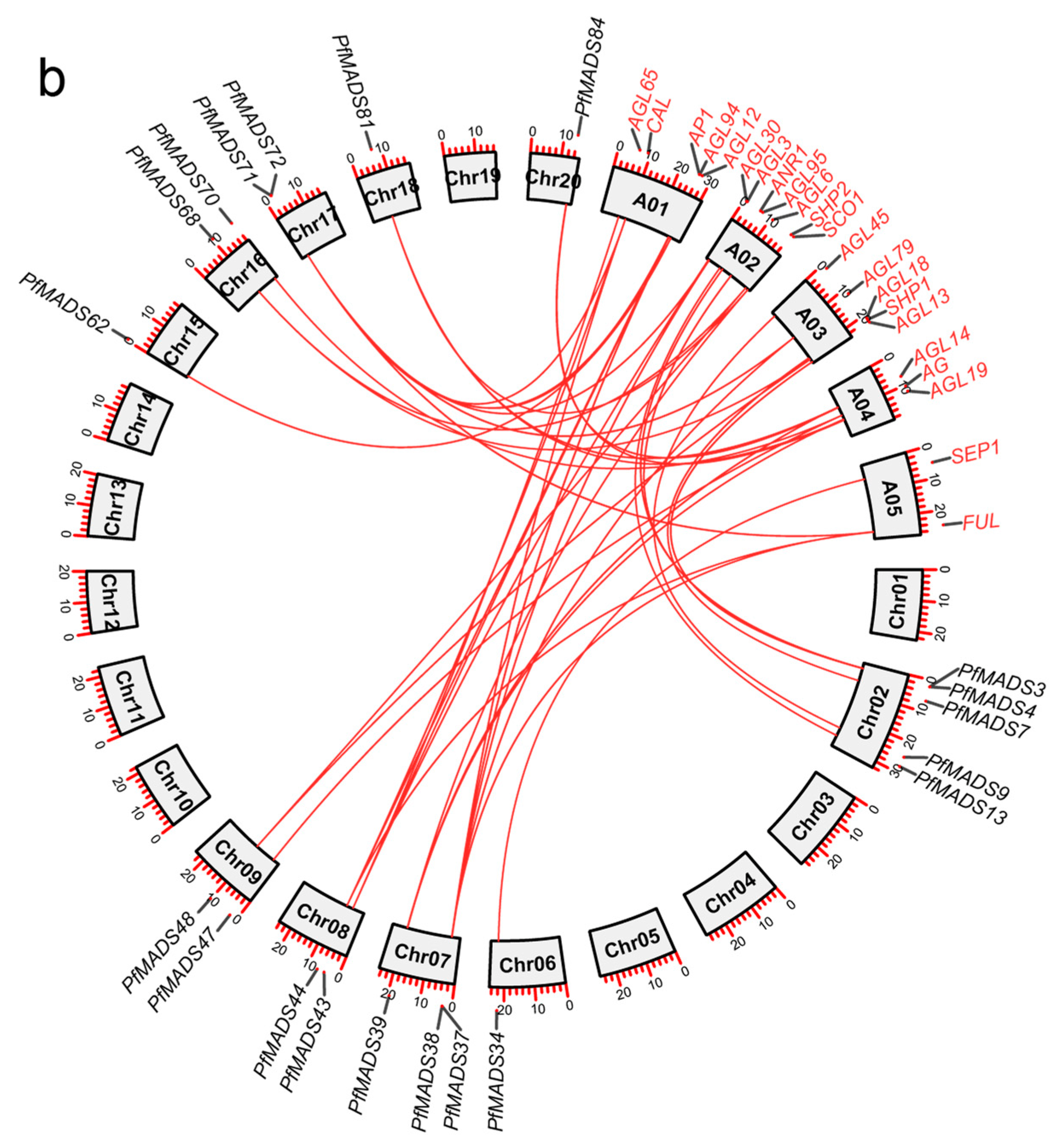 Genes 14 00696 g003b
