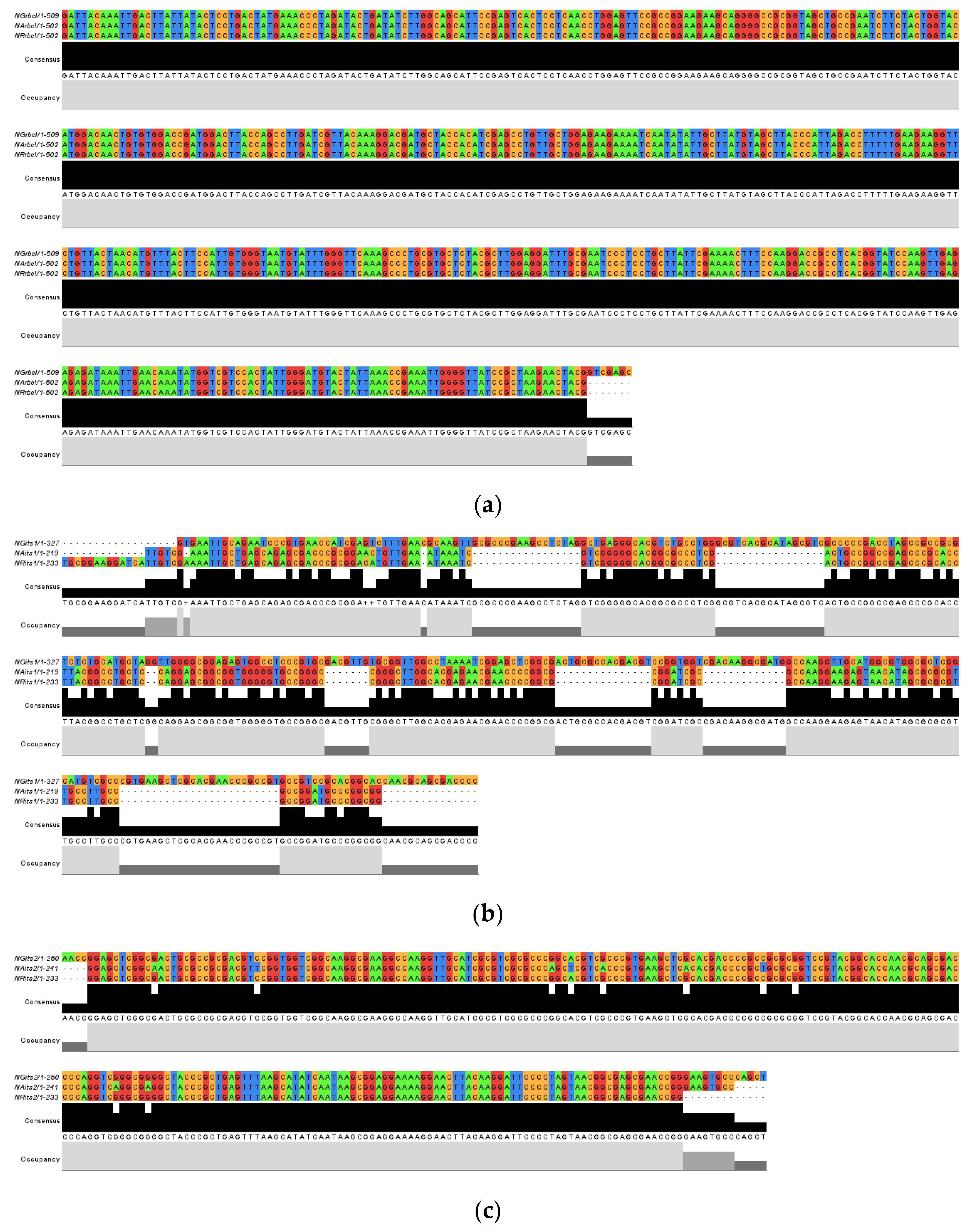 Genes 14 00697 g002
