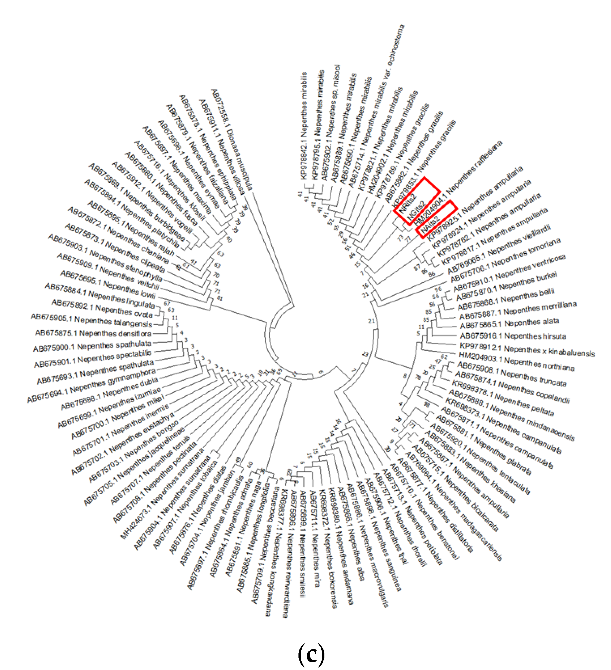 Genes 14 00697 g003b