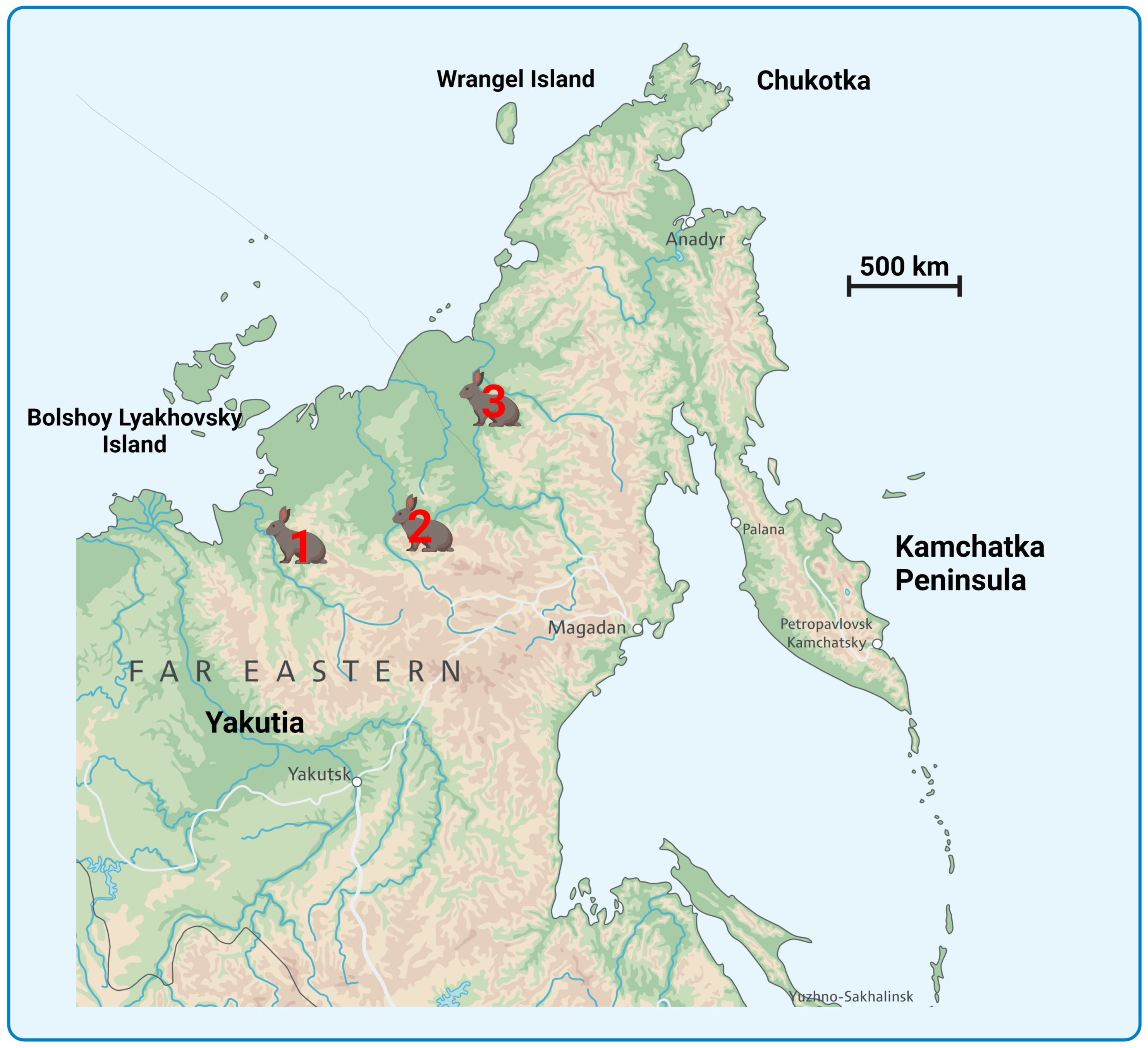 Genes 14 00700 g001 Genes 14 00700 g001