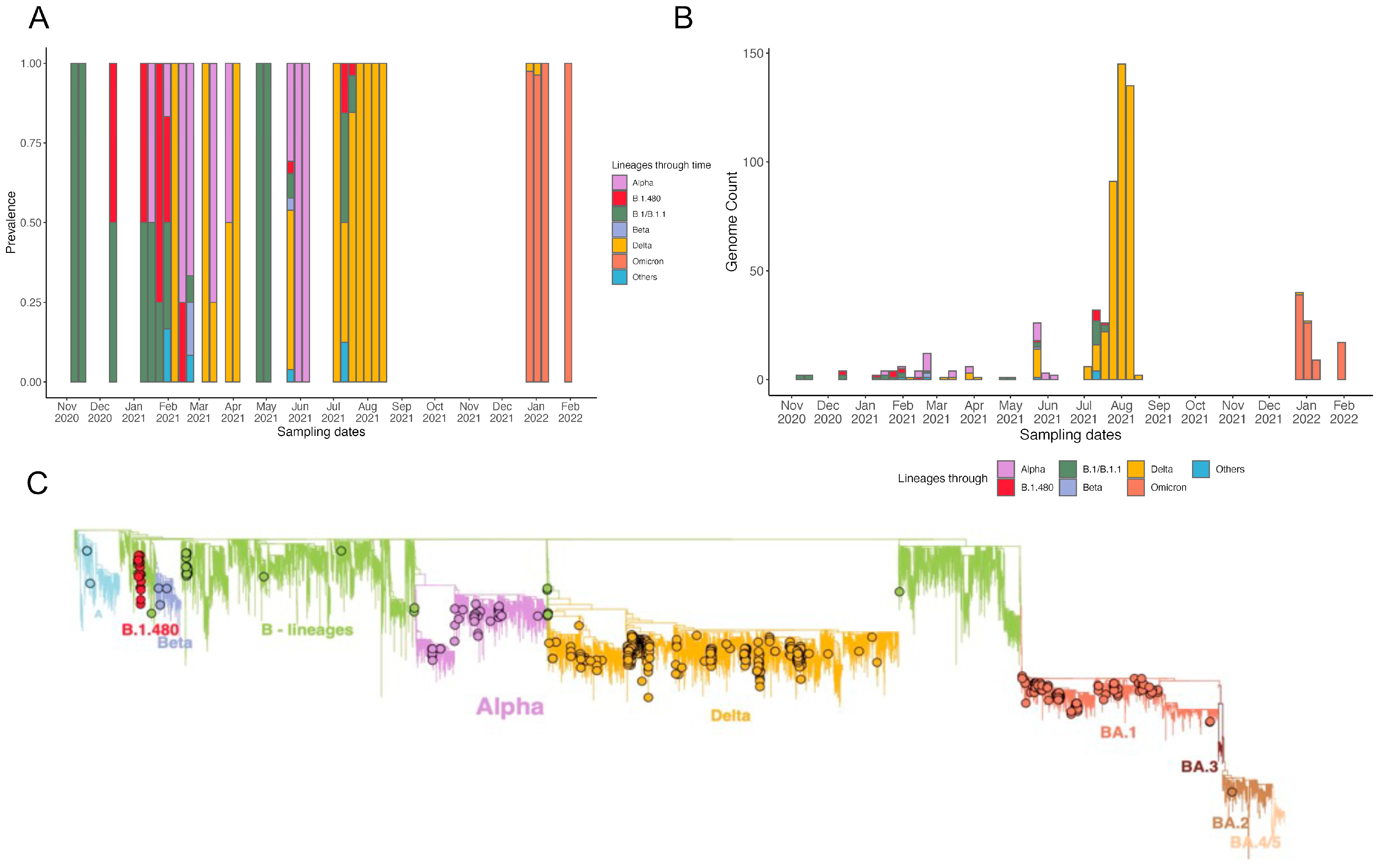 Genes 14 00705 g002 Genes 14 00705 g002