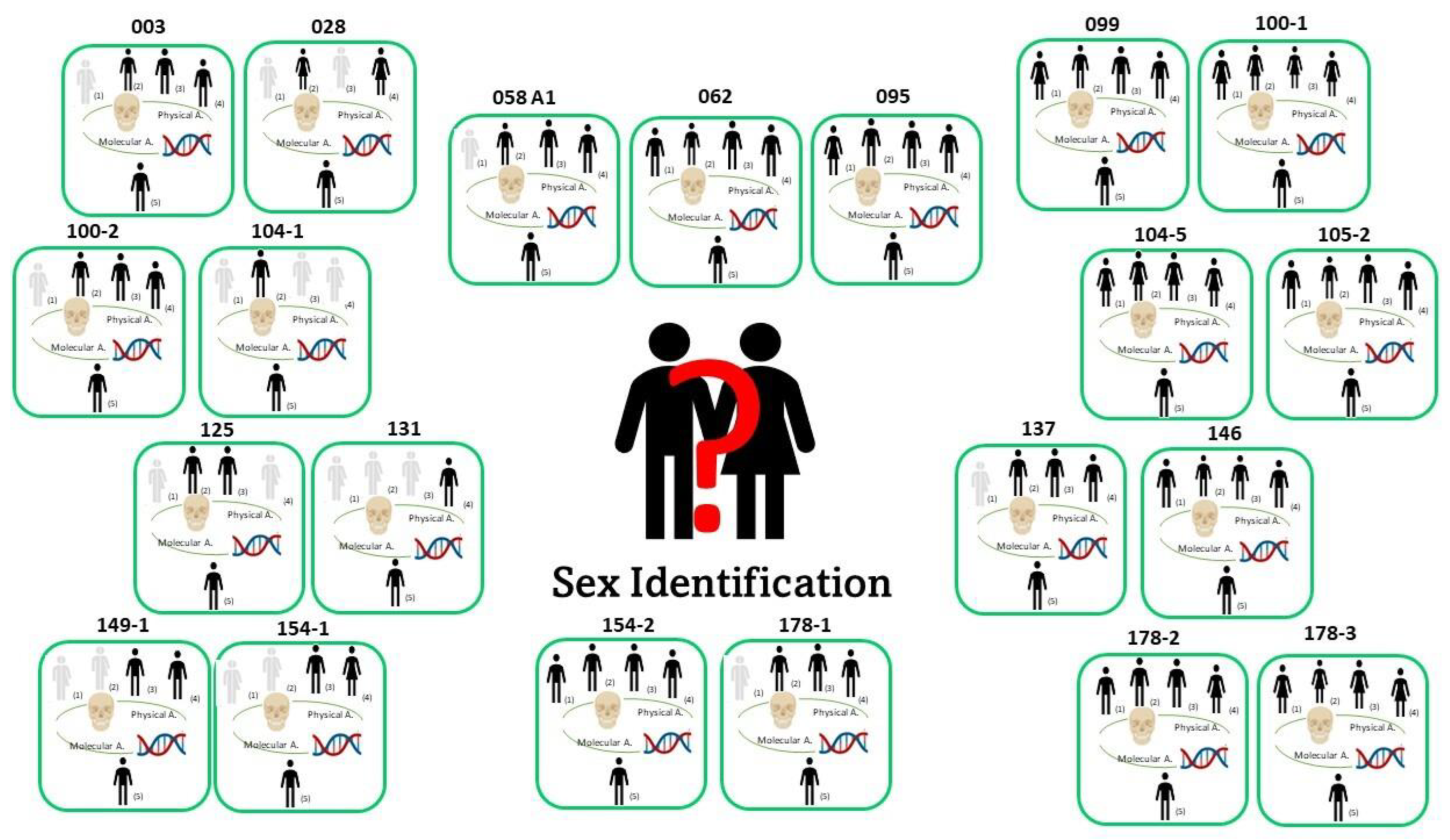 Genes 14 00706 g004 Genes 14 00706 g004
