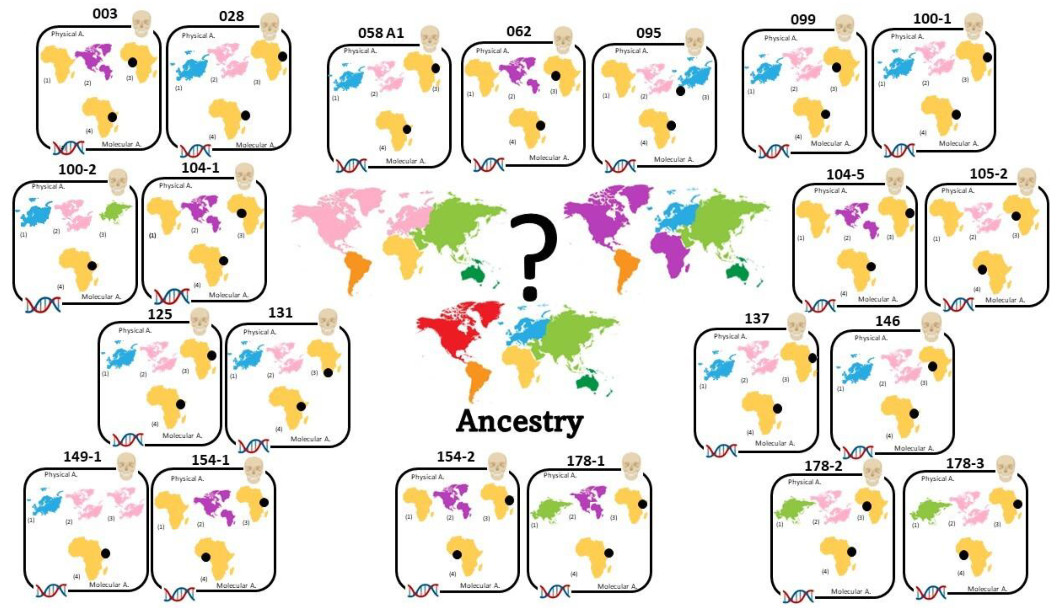Genes 14 00706 g005 Genes 14 00706 g005