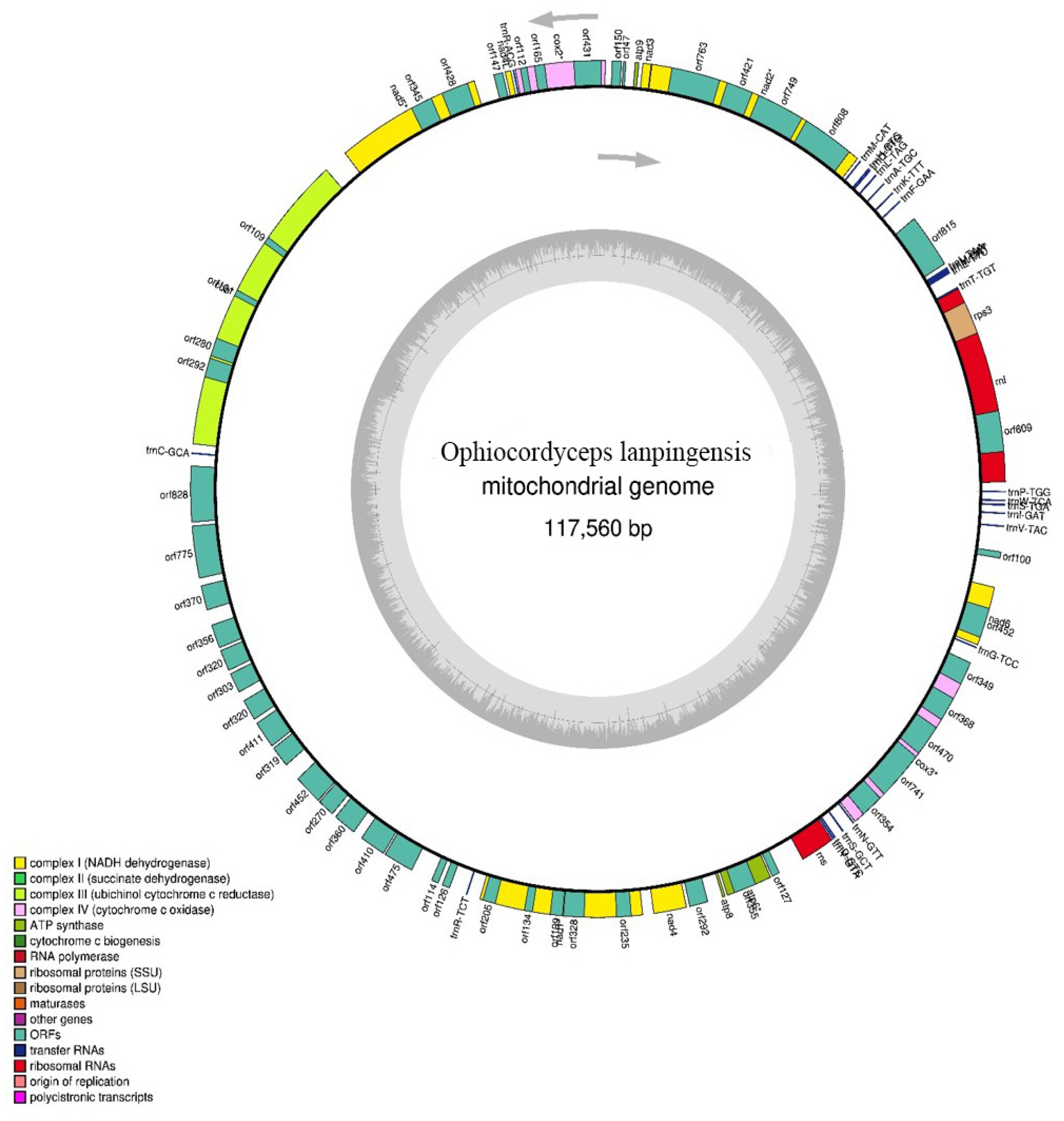 Genes 14 00710 g002