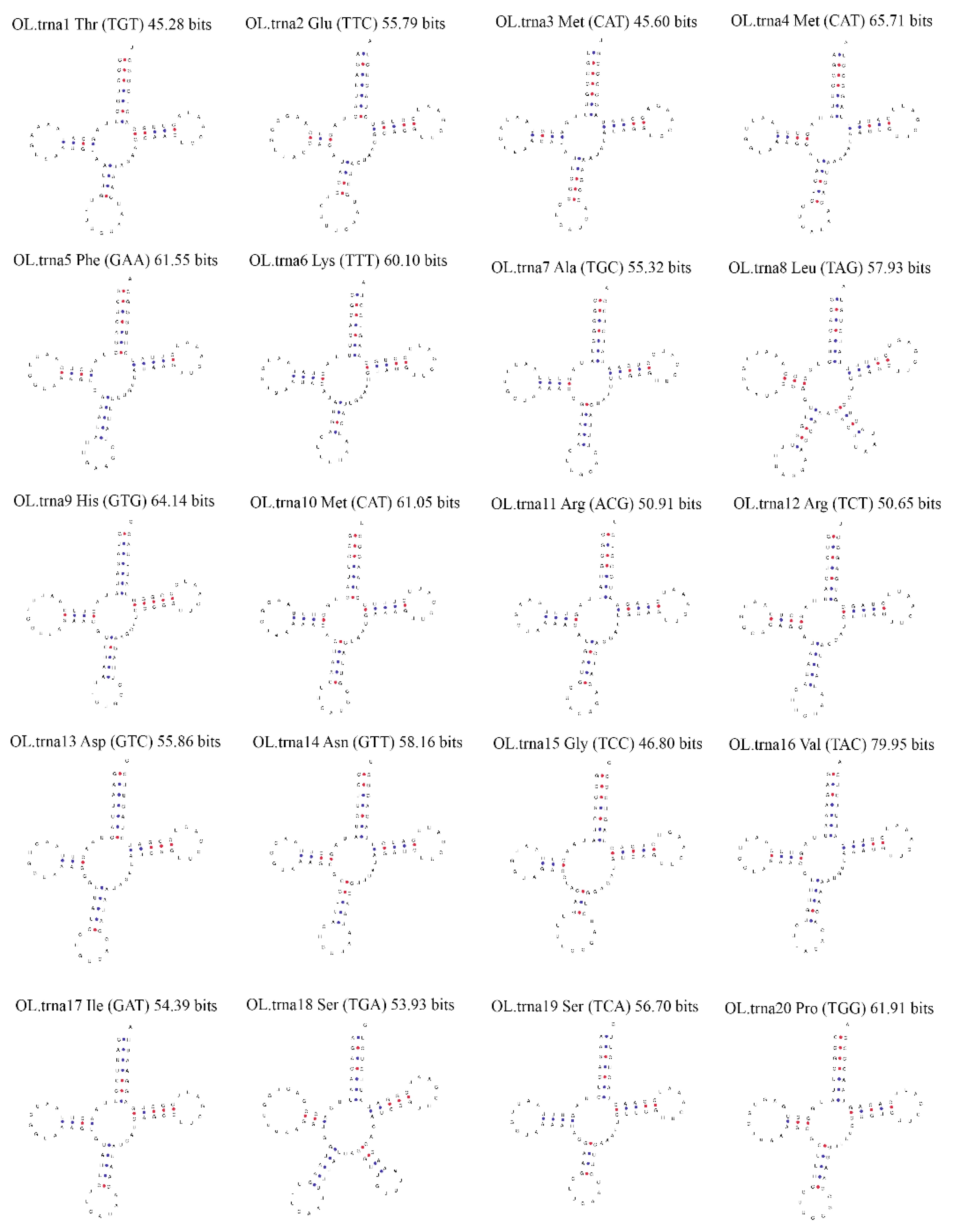 Genes 14 00710 g004