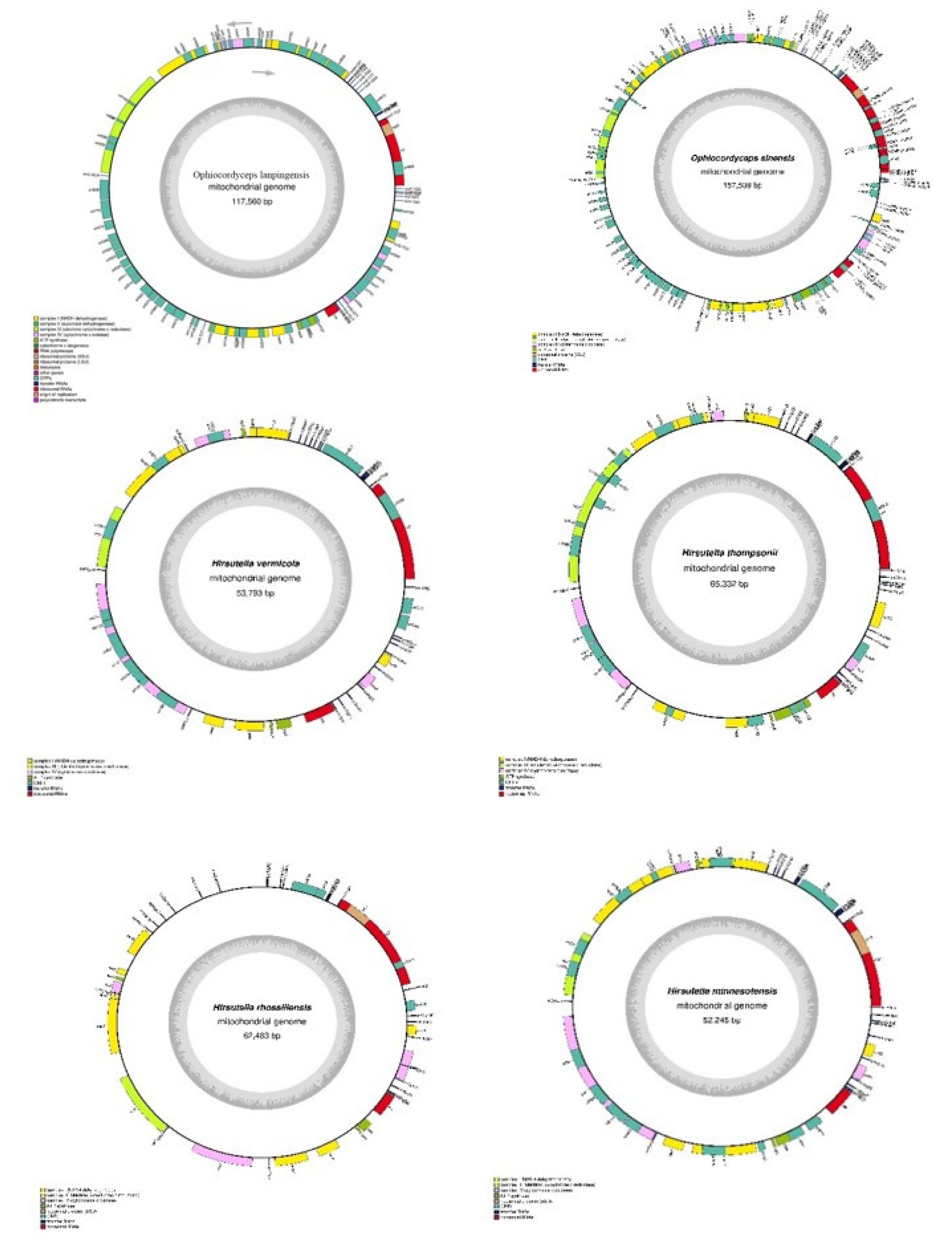 Genes 14 00710 g005