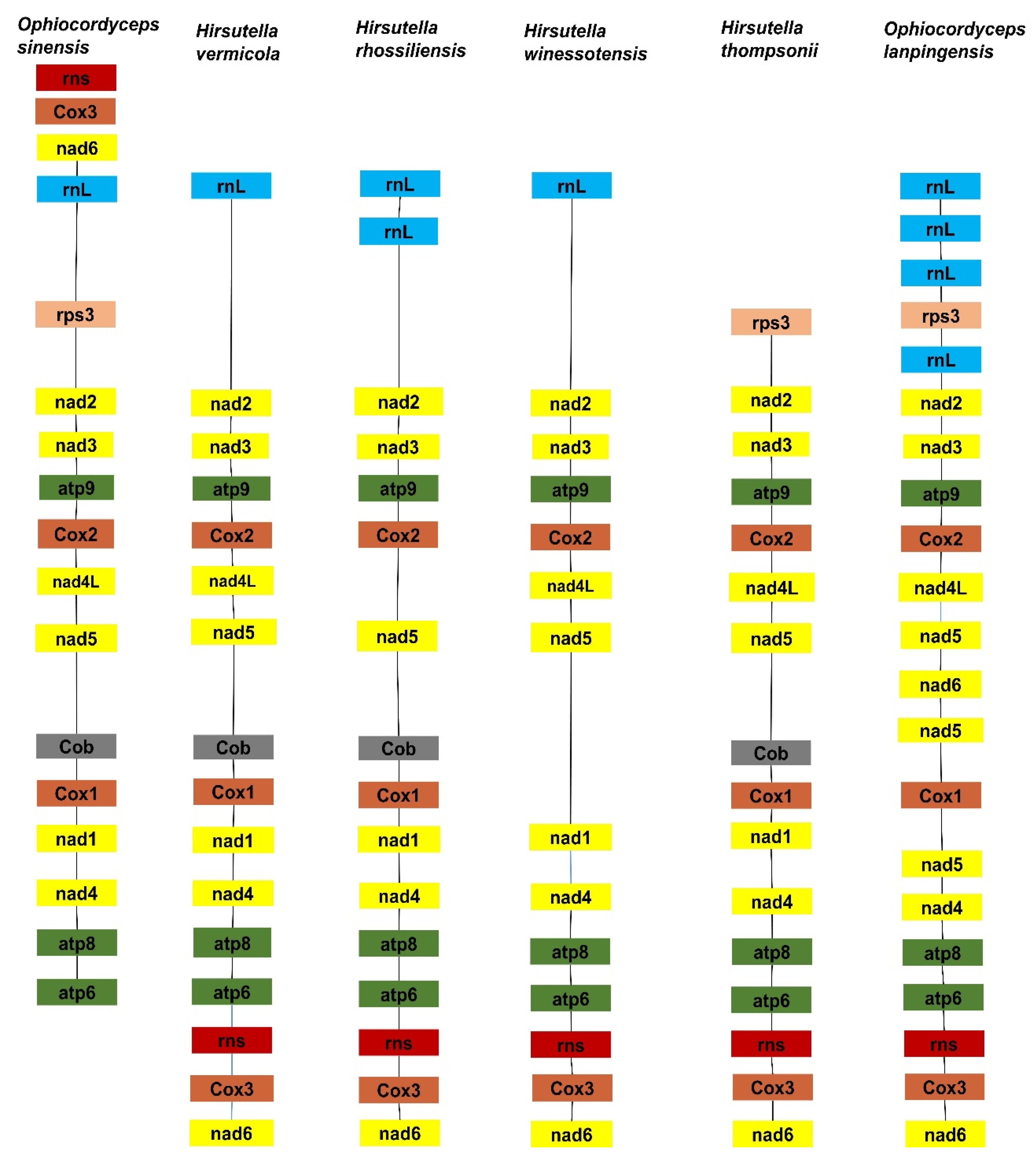 Genes 14 00710 g007