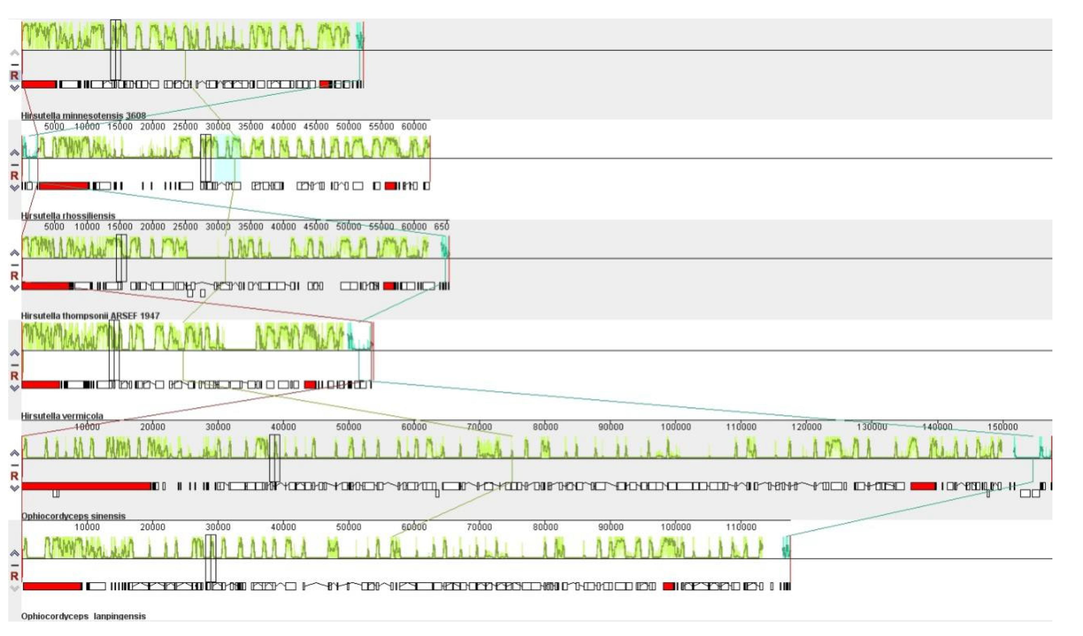 Genes 14 00710 g008