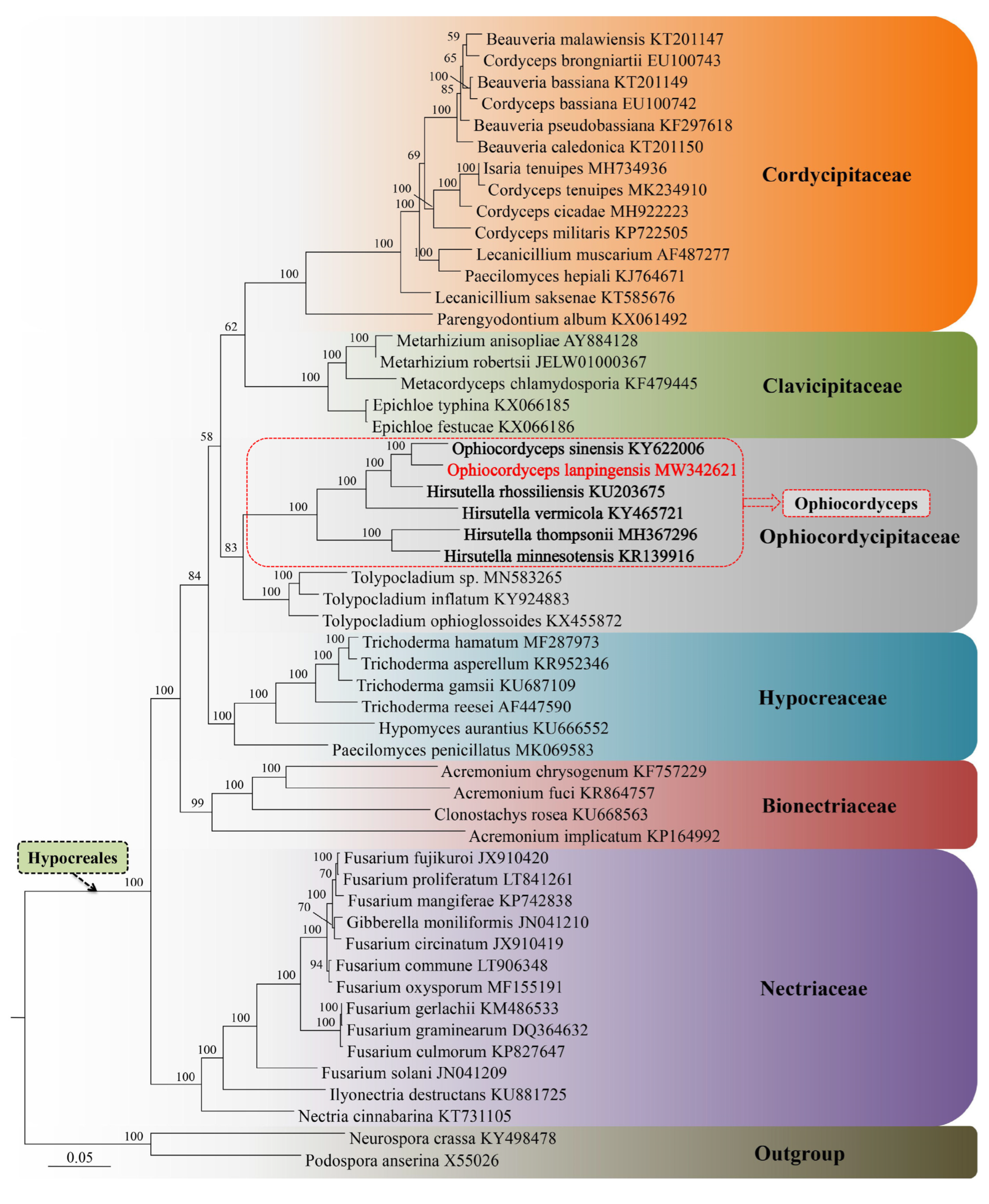 Genes 14 00710 g009