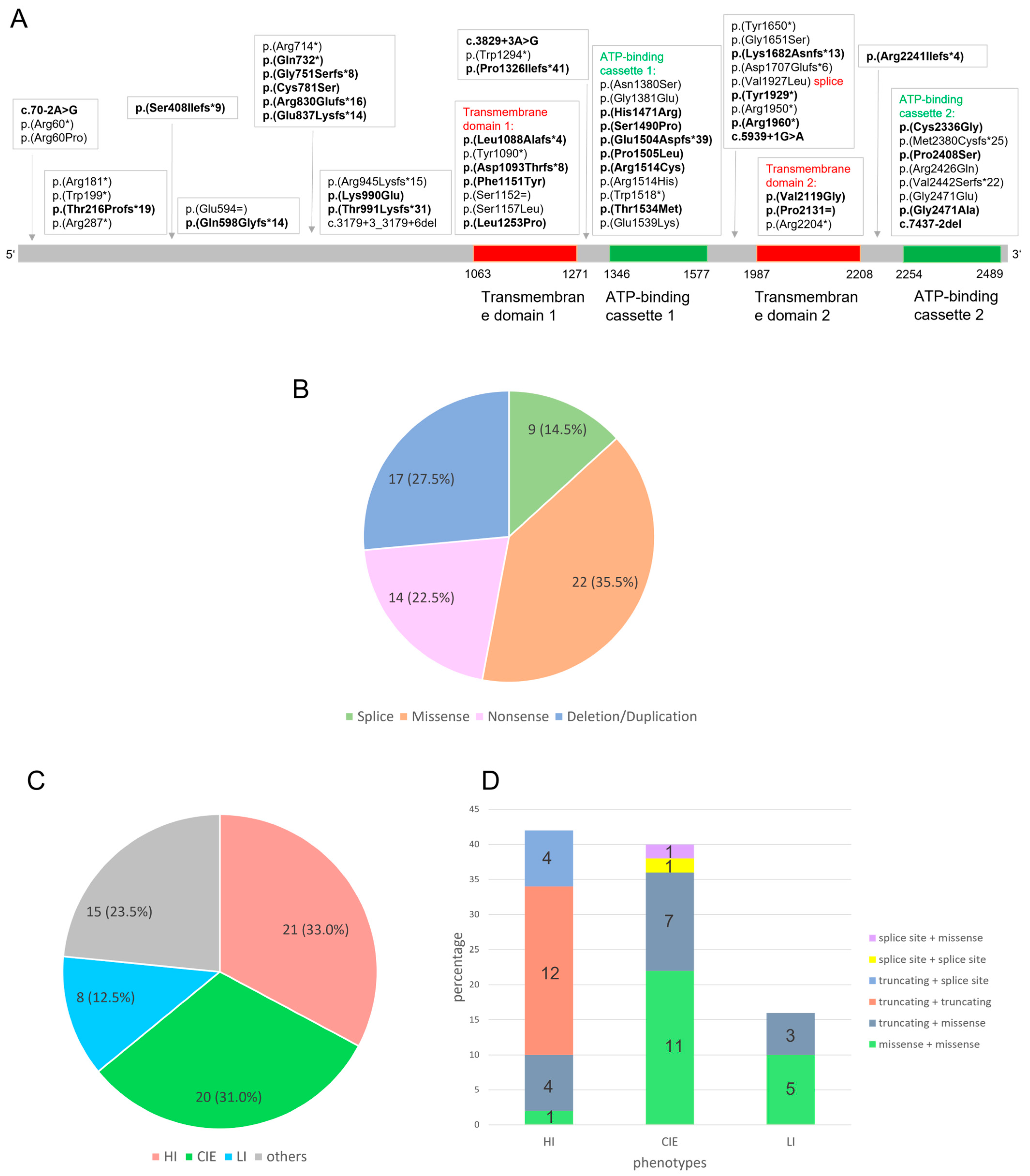 Genes 14 00717 g001 Genes 14 00717 g001