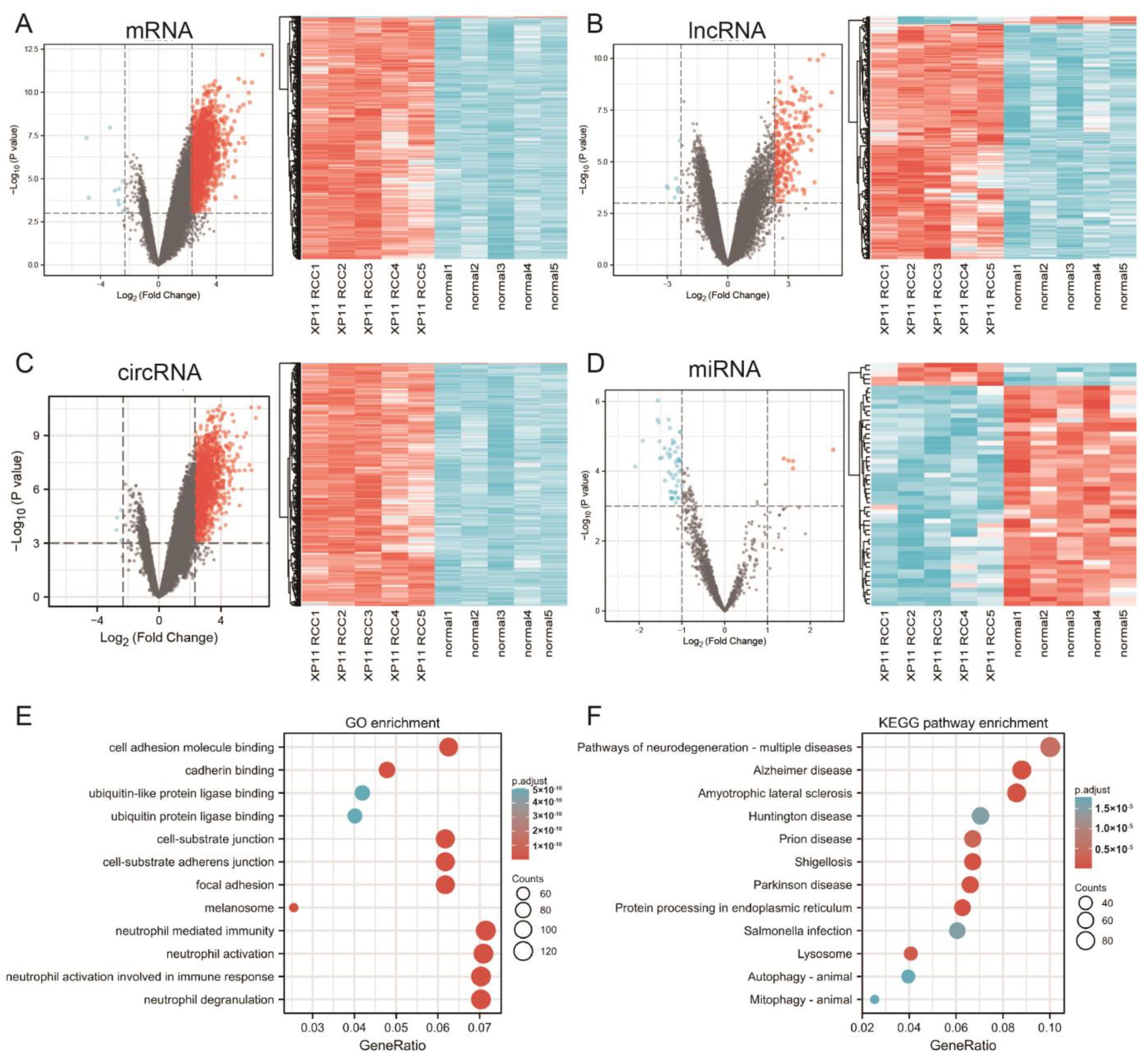 Genes 14 00723 g001 Genes 14 00723 g001