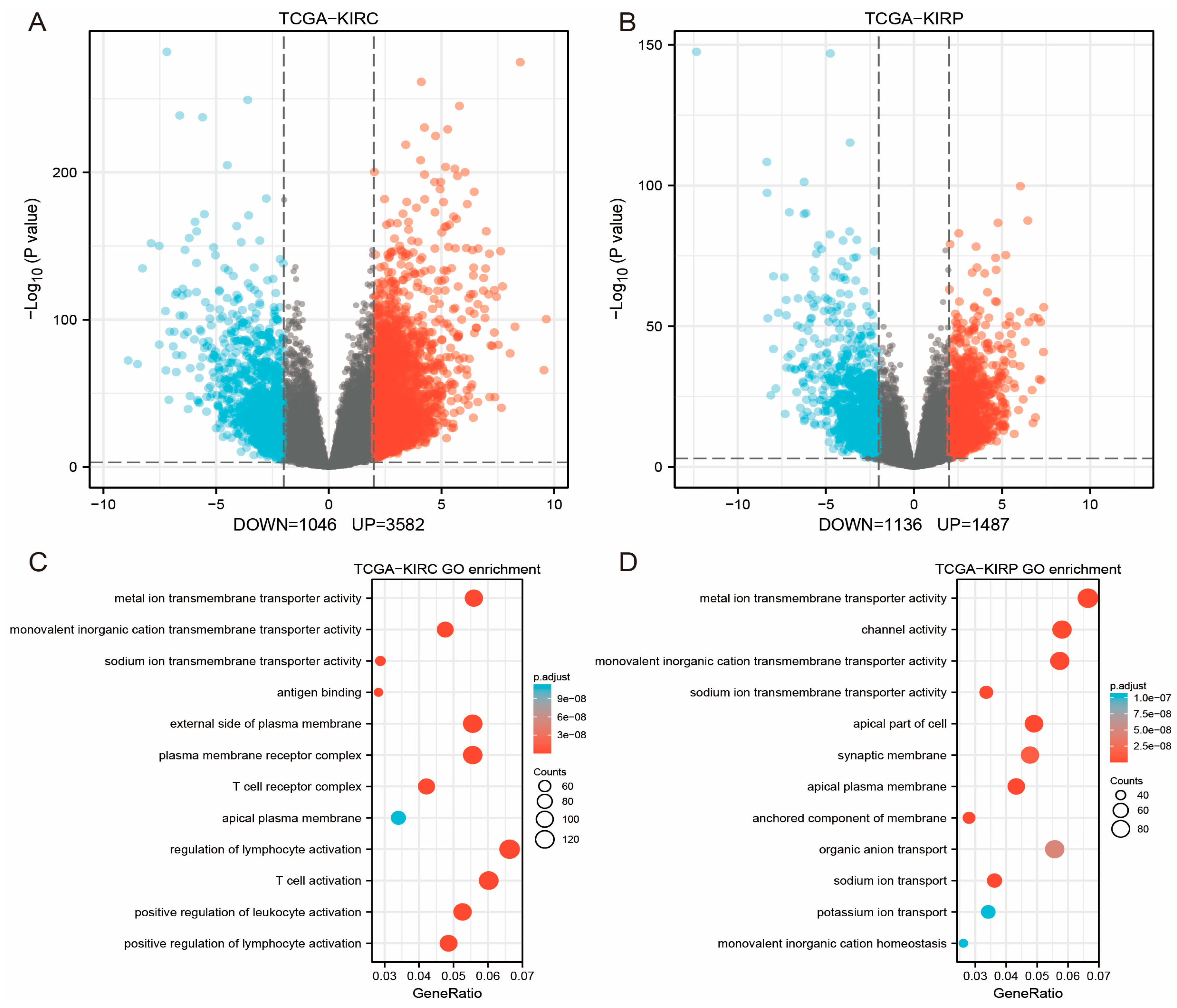 Genes 14 00723 g002a Genes 14 00723 g002a