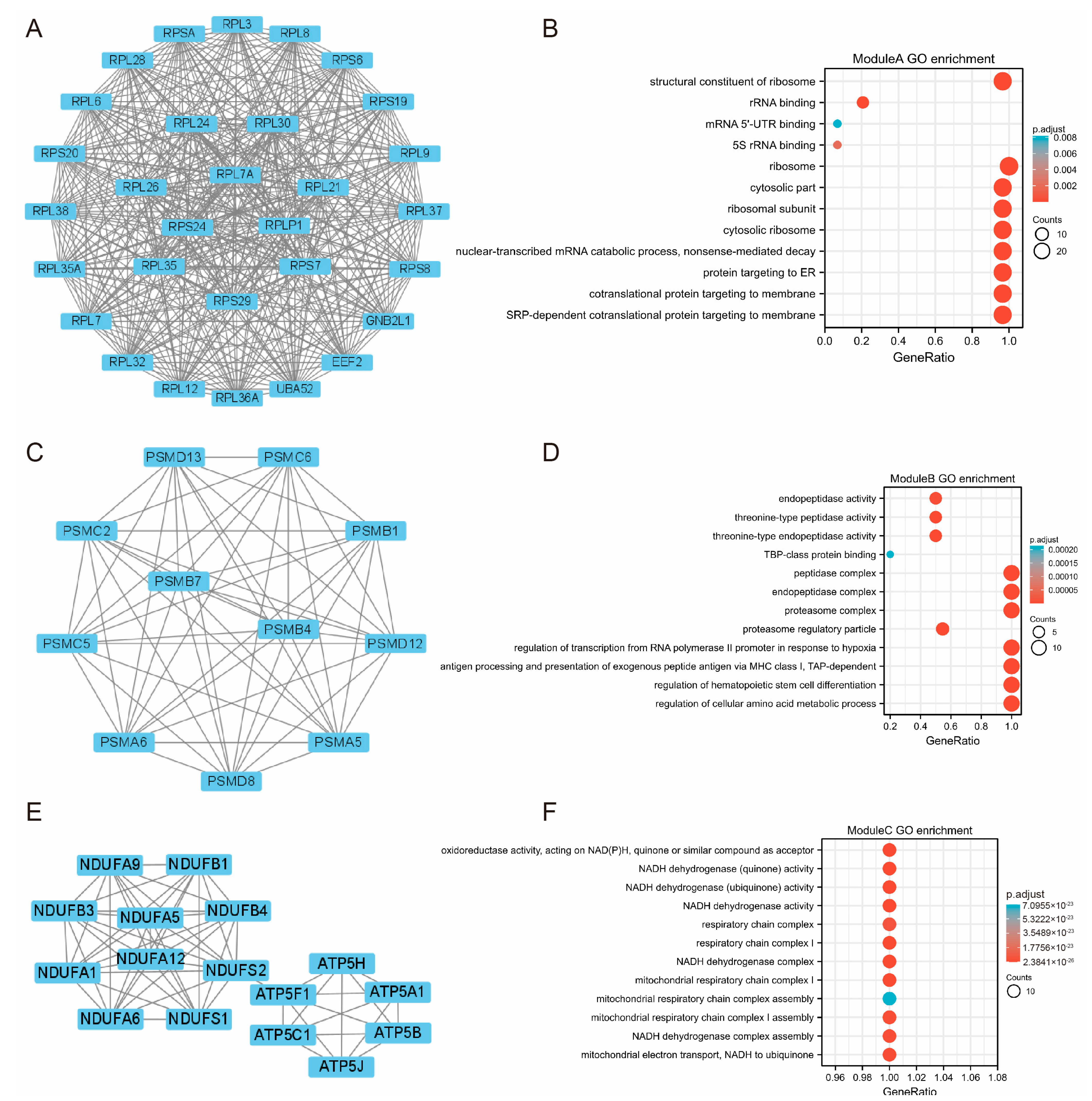 Genes 14 00723 g003 Genes 14 00723 g003