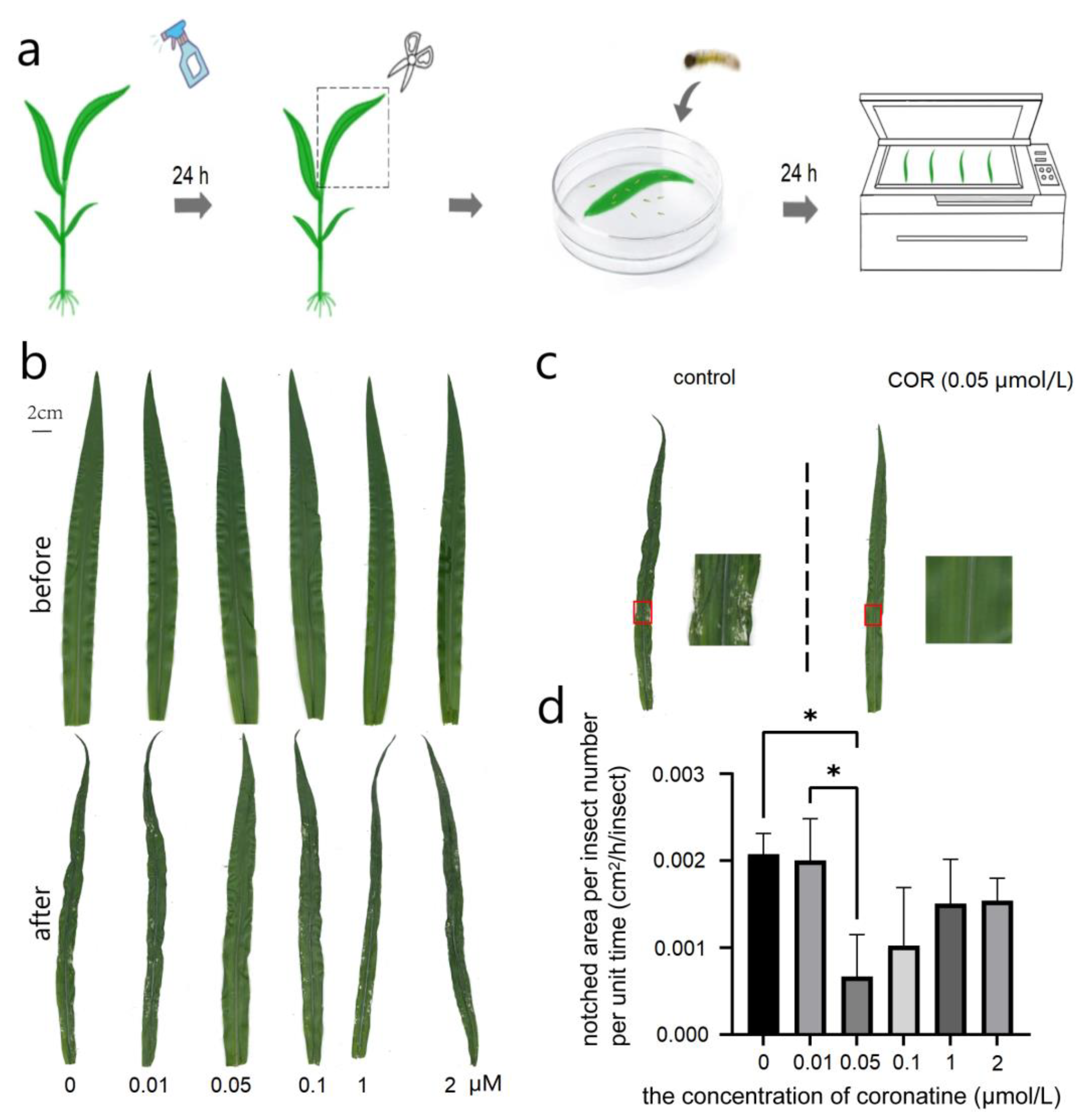 Genes 14 00735 g001 Genes 14 00735 g001