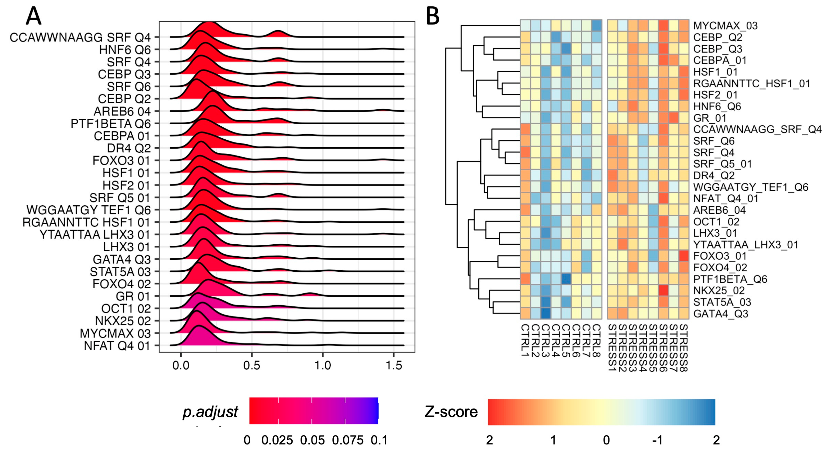 Genes 14 00740 g003
